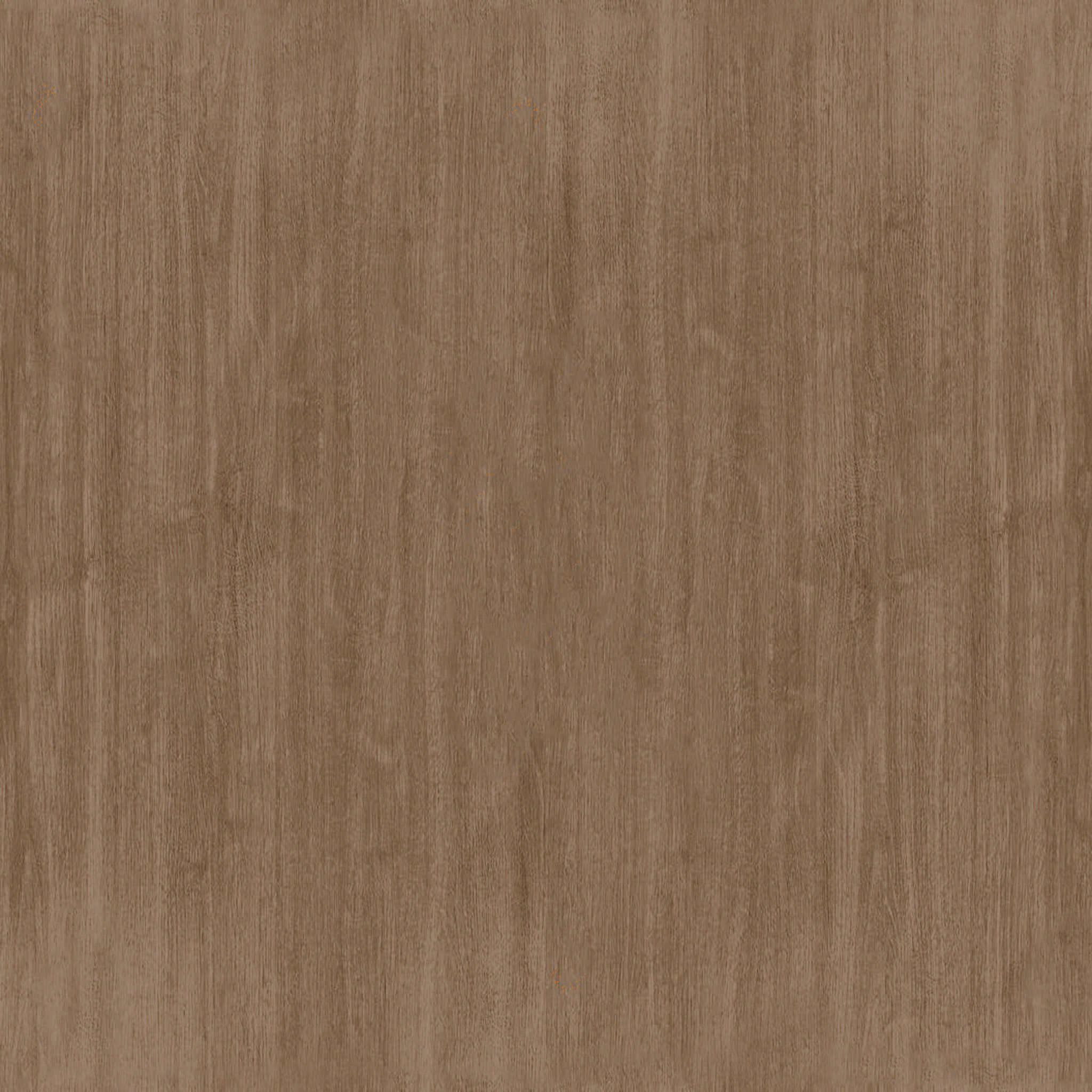 Josu Eucalyptus Outdoor Dining Side Chair thumbnail 7