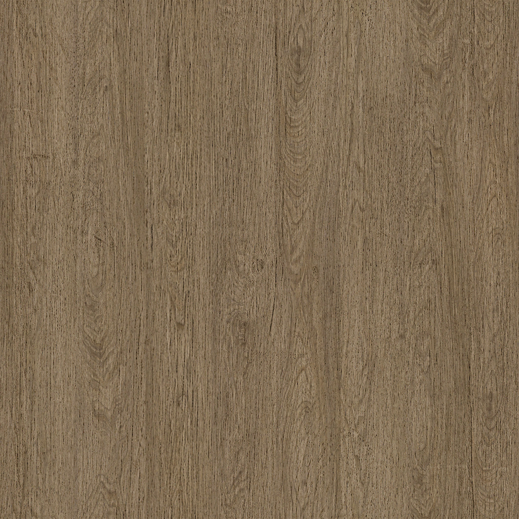 Portside Outdoor Dining Chair thumbnail 4