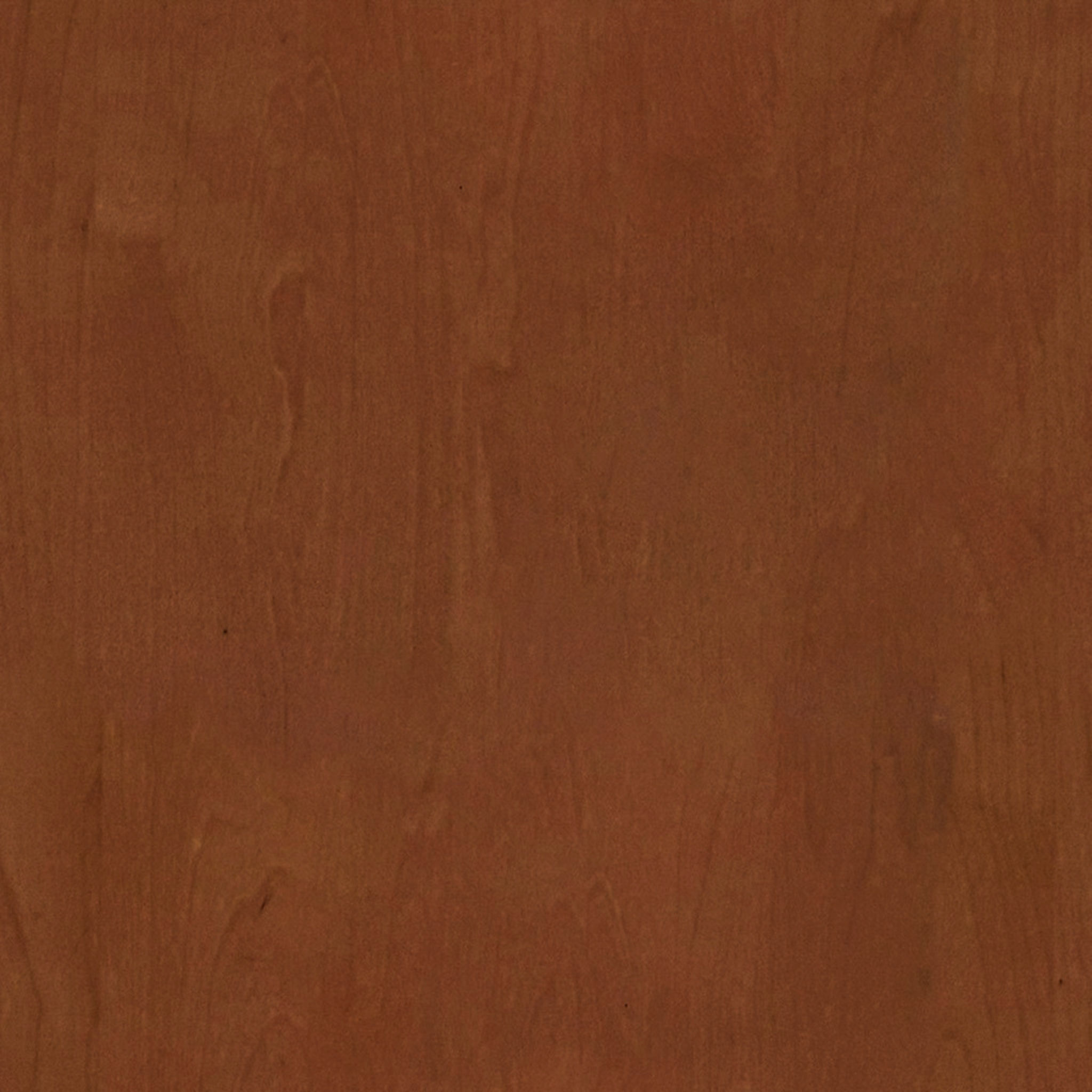 Battistina Upholstered Armchair thumbnail 3