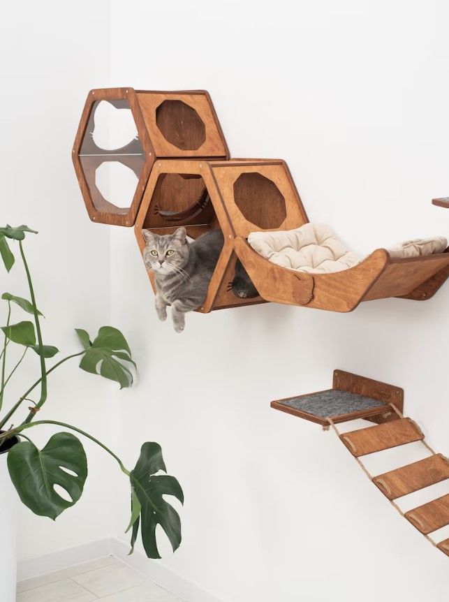 Cat Wall Mount Furniture Bridge thumbnail 2
