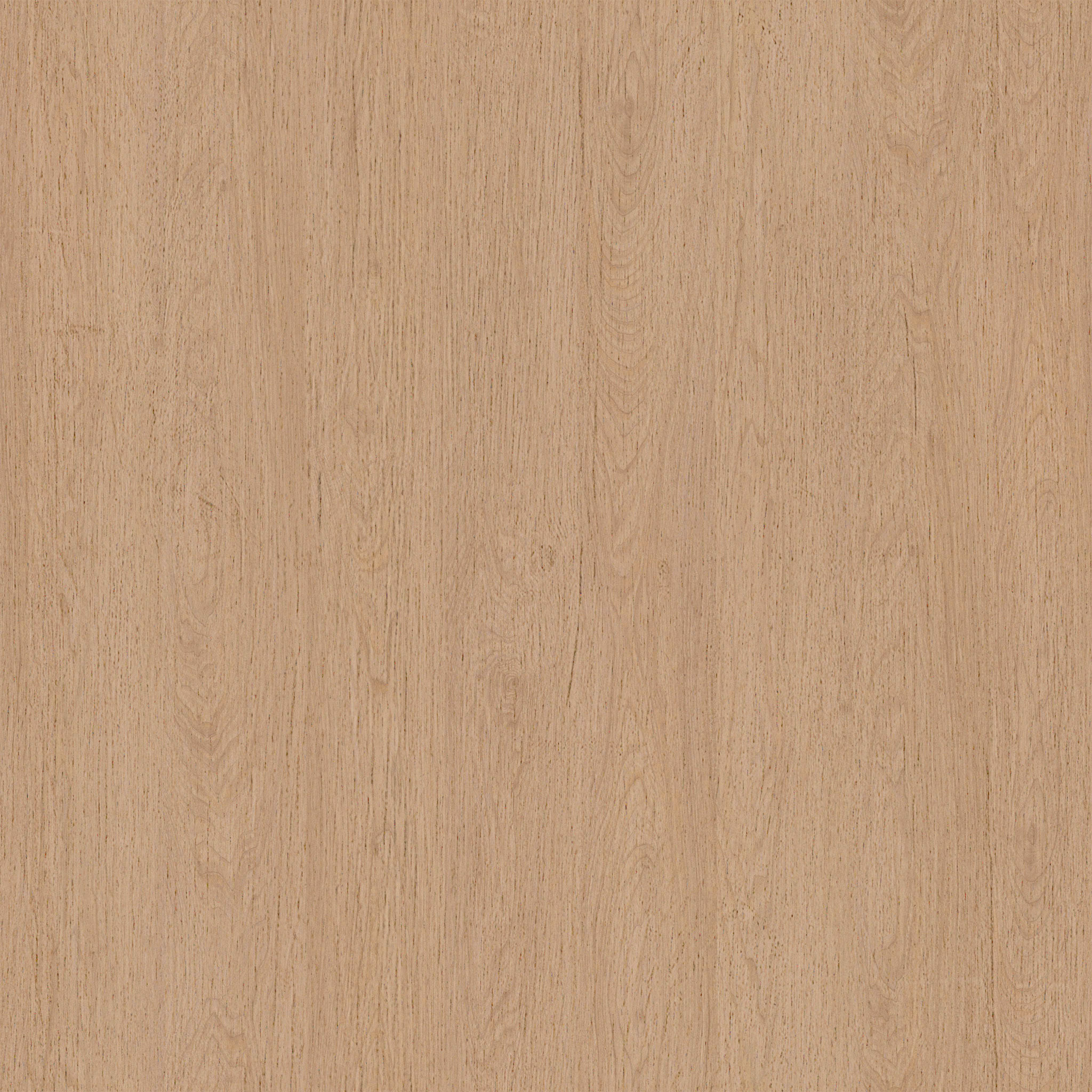 Cline Bistro Dining Chair thumbnail 3