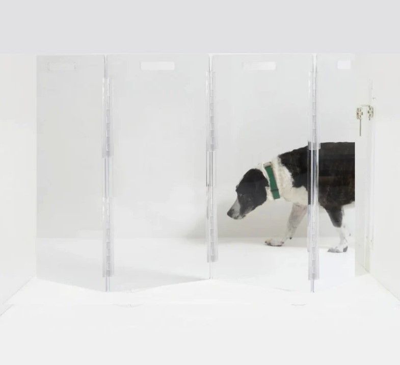 Clear Lucite Acrylic Modern Wall Attached Zig Zag Pet Dog Gate thumbnail 2