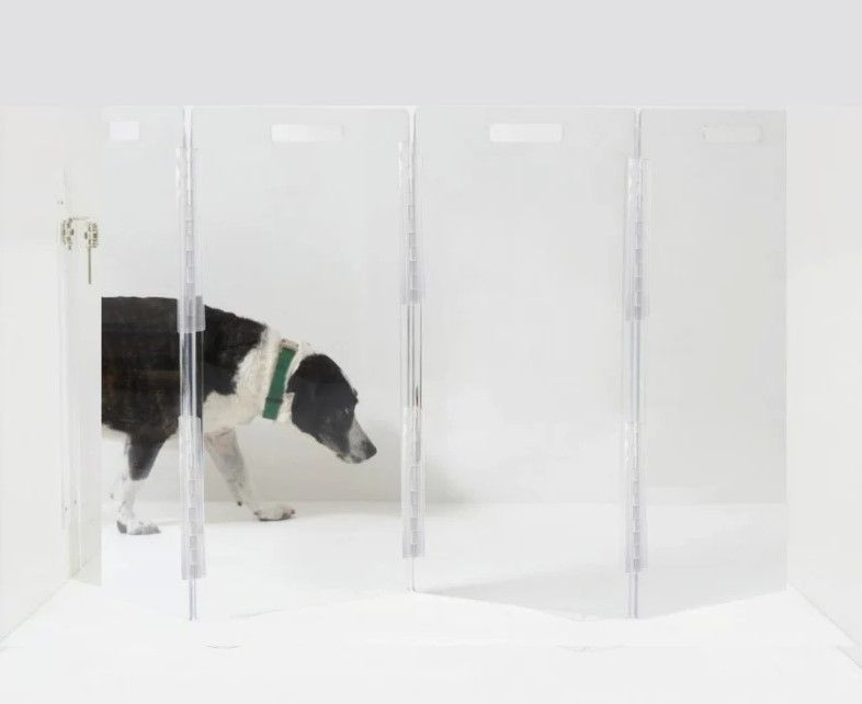 Clear Lucite Acrylic Modern Wall Attached Zig Zag Pet Dog Gate thumbnail 3