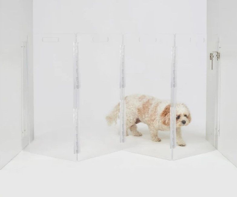 Clear Lucite Acrylic Modern Wall Attached Zig Zag Pet Dog Gate thumbnail 4