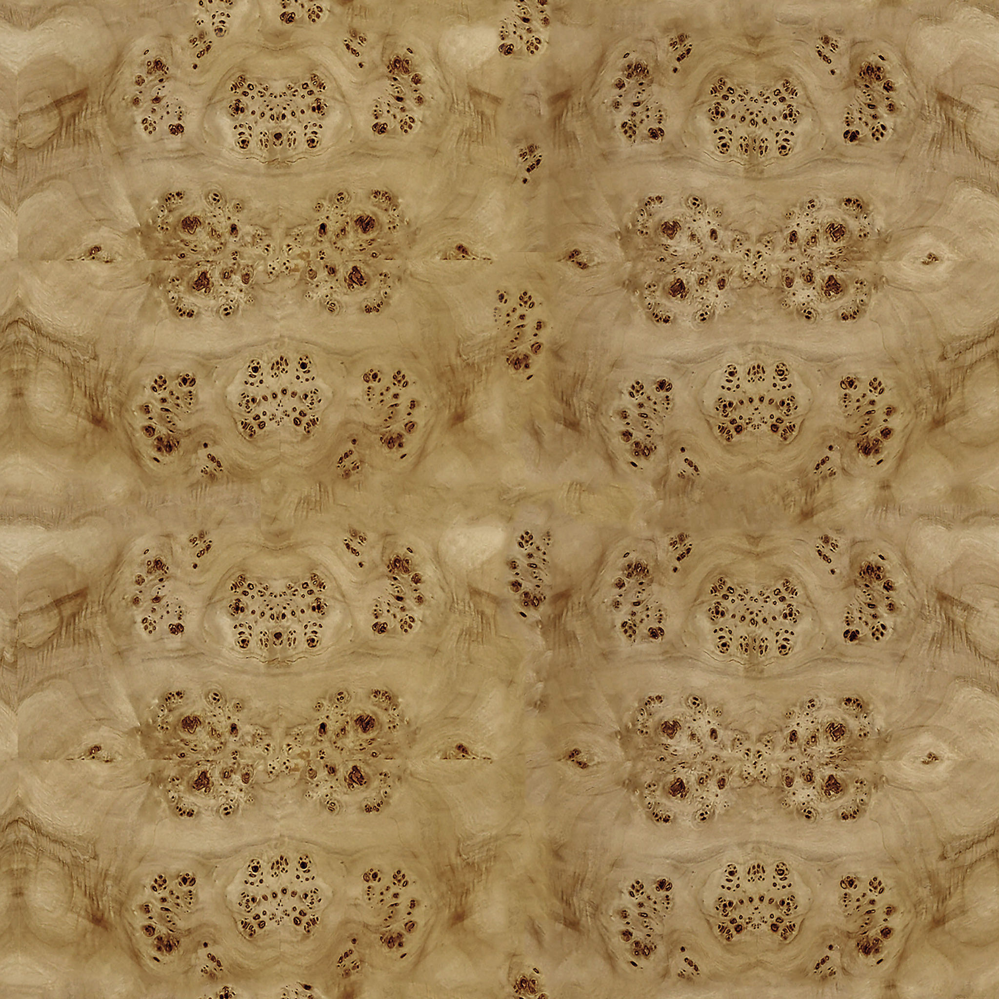 Houssam Burl Wood Coffee Table thumbnail 6