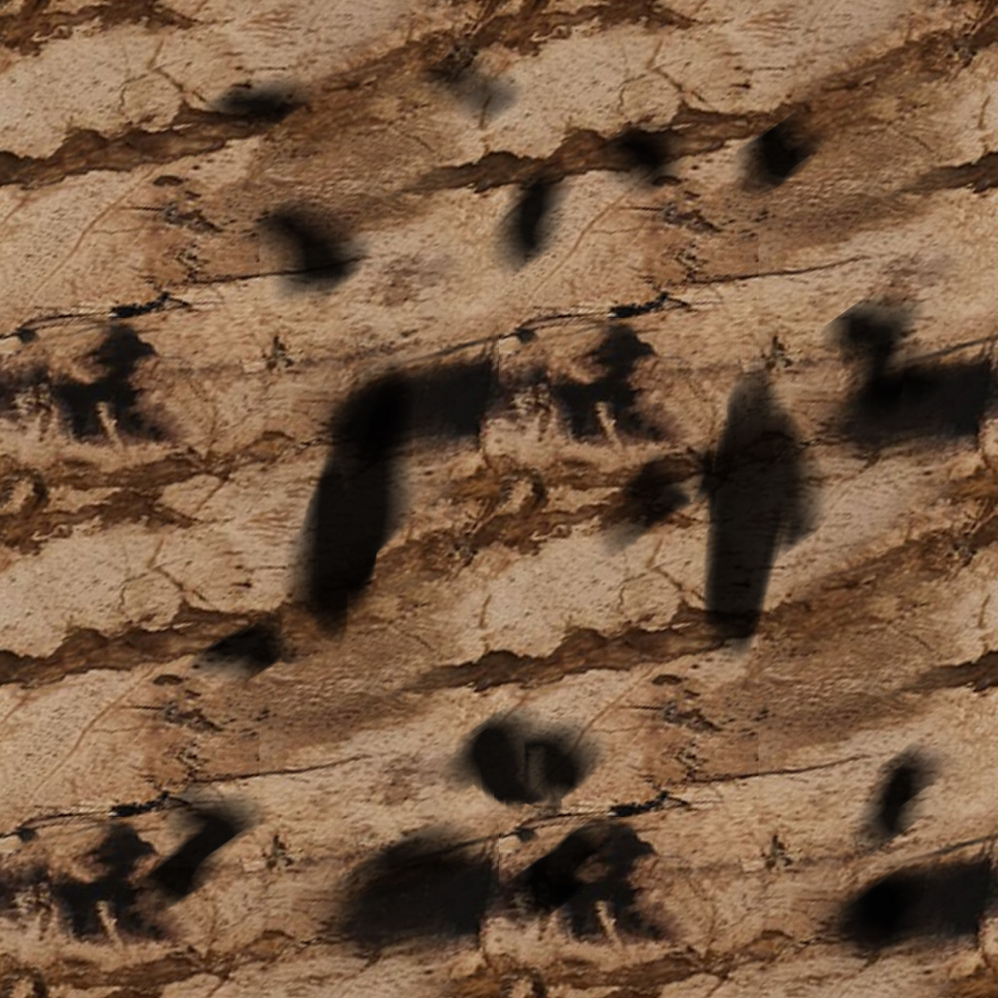 Petrified Wood Cube thumbnail 3