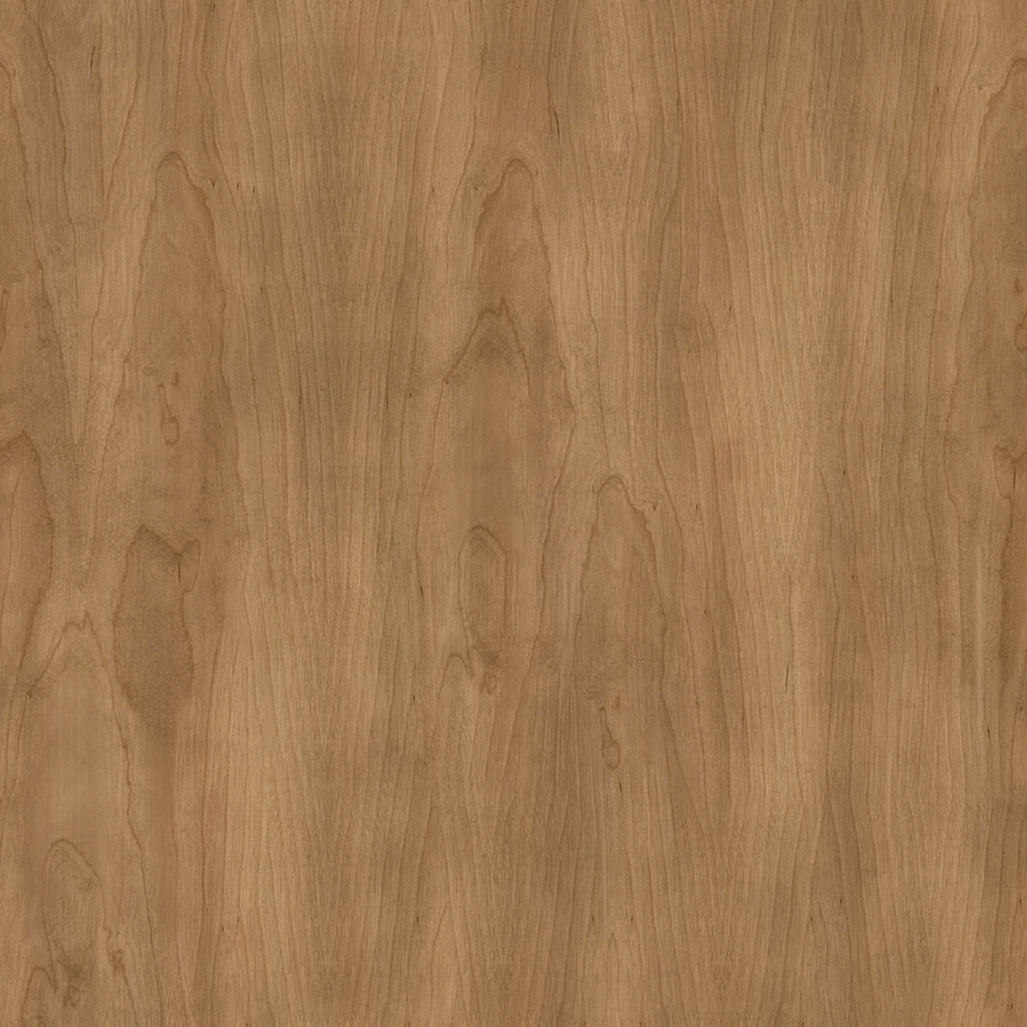 Grady Chair thumbnail 3