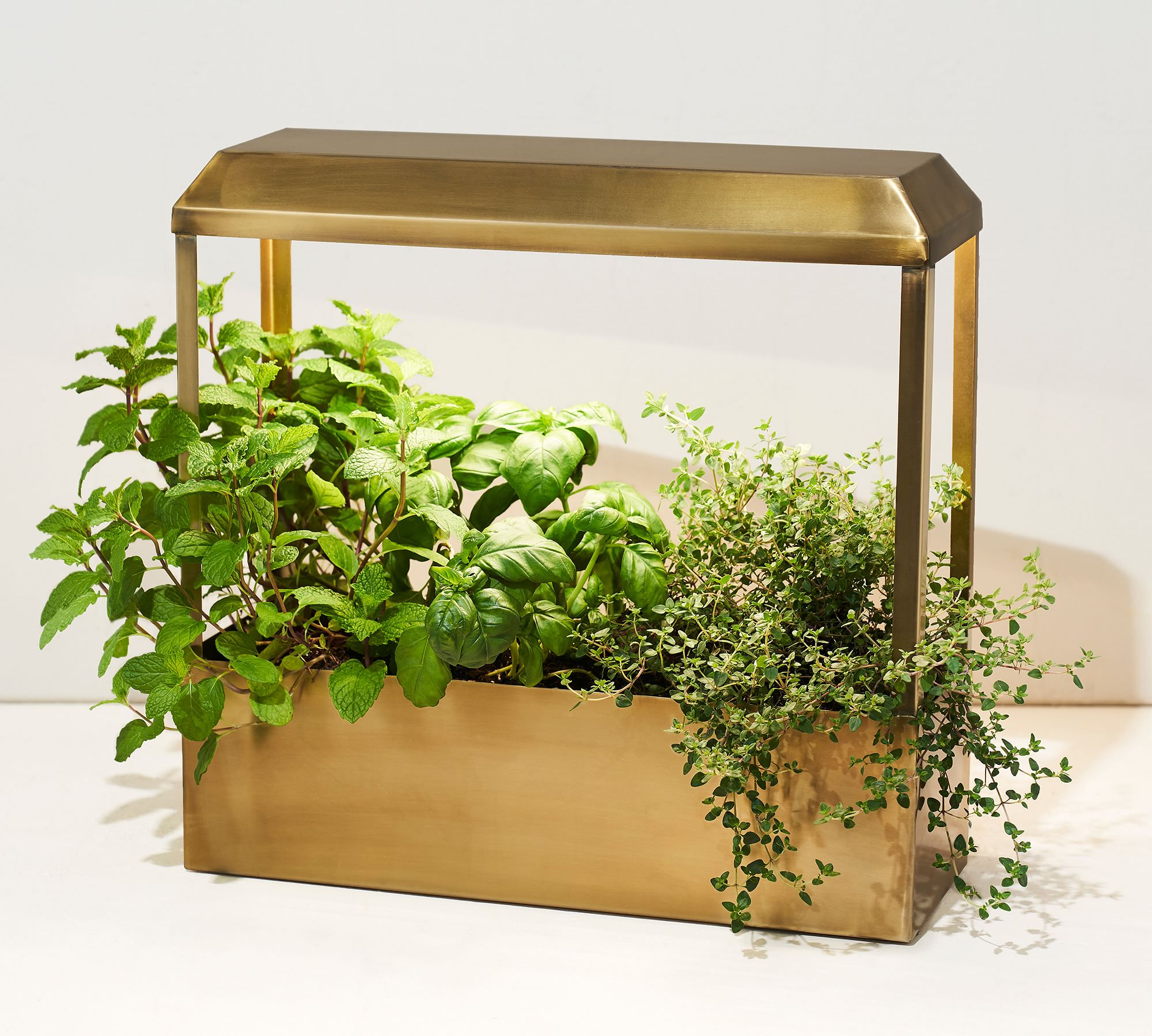 Growhouse thumbnail 4