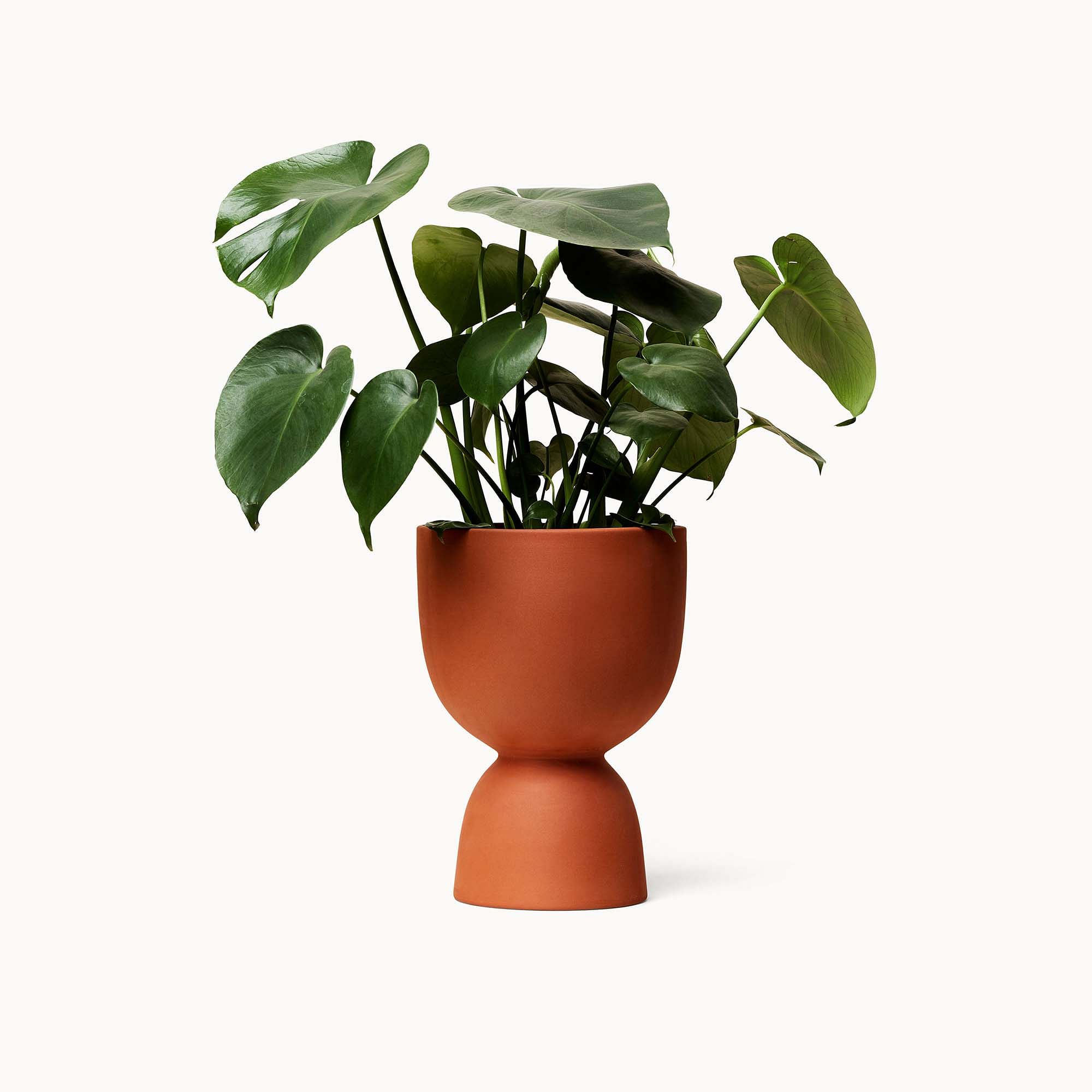 Franca NYC Stacked Planter-Large thumbnail 2