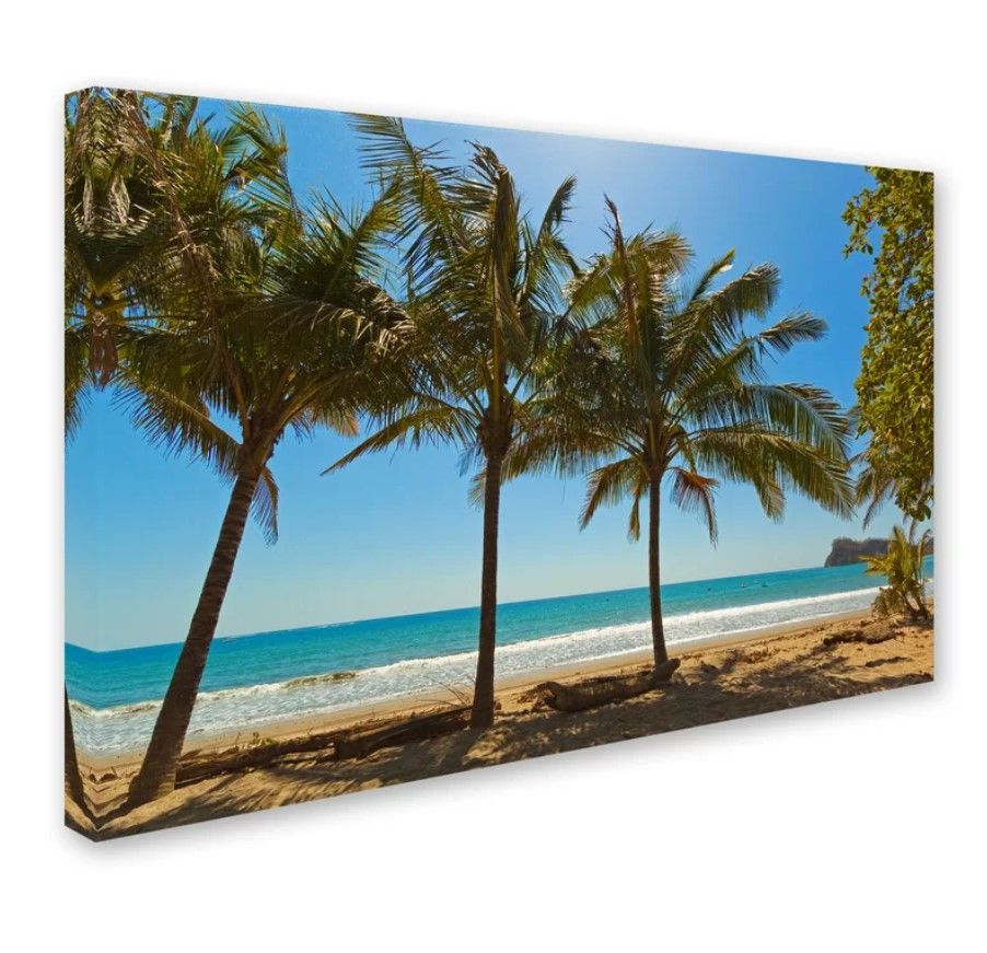 Robert Harding Picture Library Palm Trees  thumbnail 2