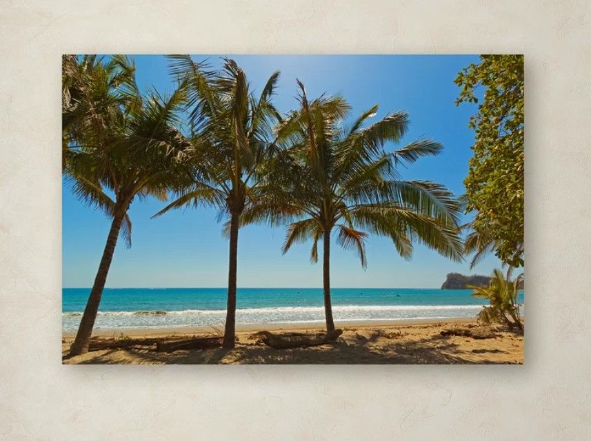 Robert Harding Picture Library Palm Trees  thumbnail 3