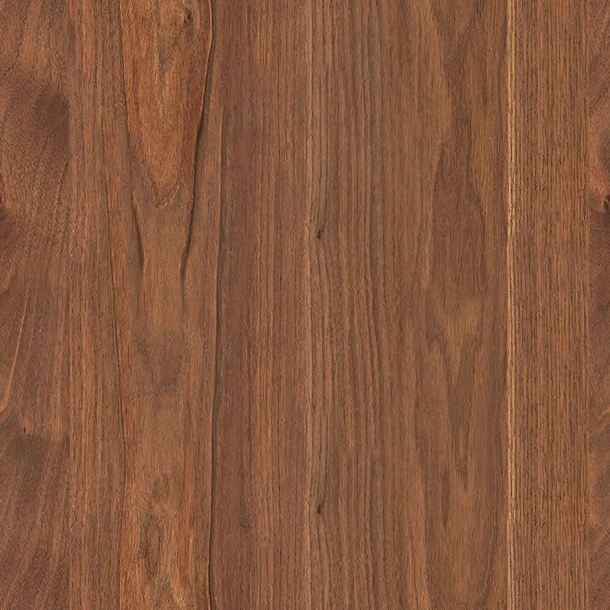 Olive Branch Wall Art thumbnail 4