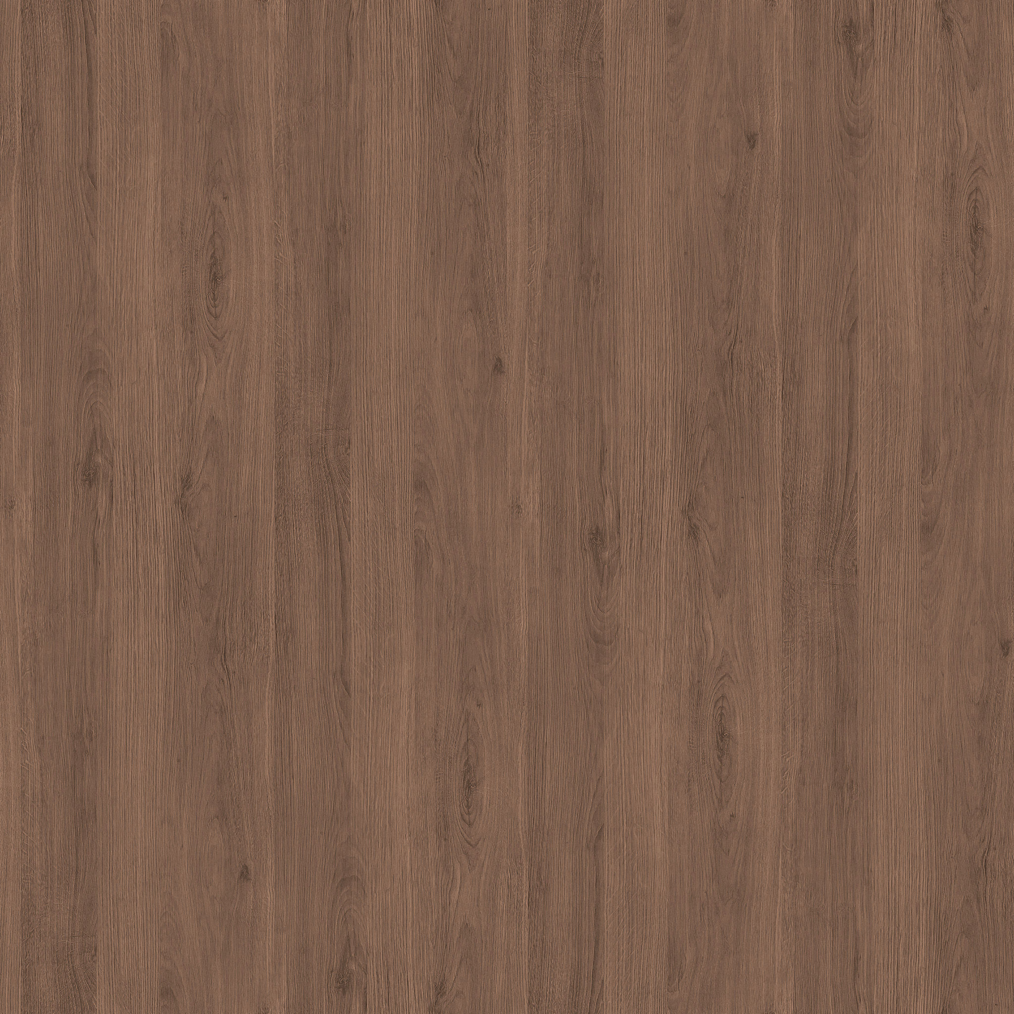Ivaan Solid Wood Accent Trunk thumbnail 3