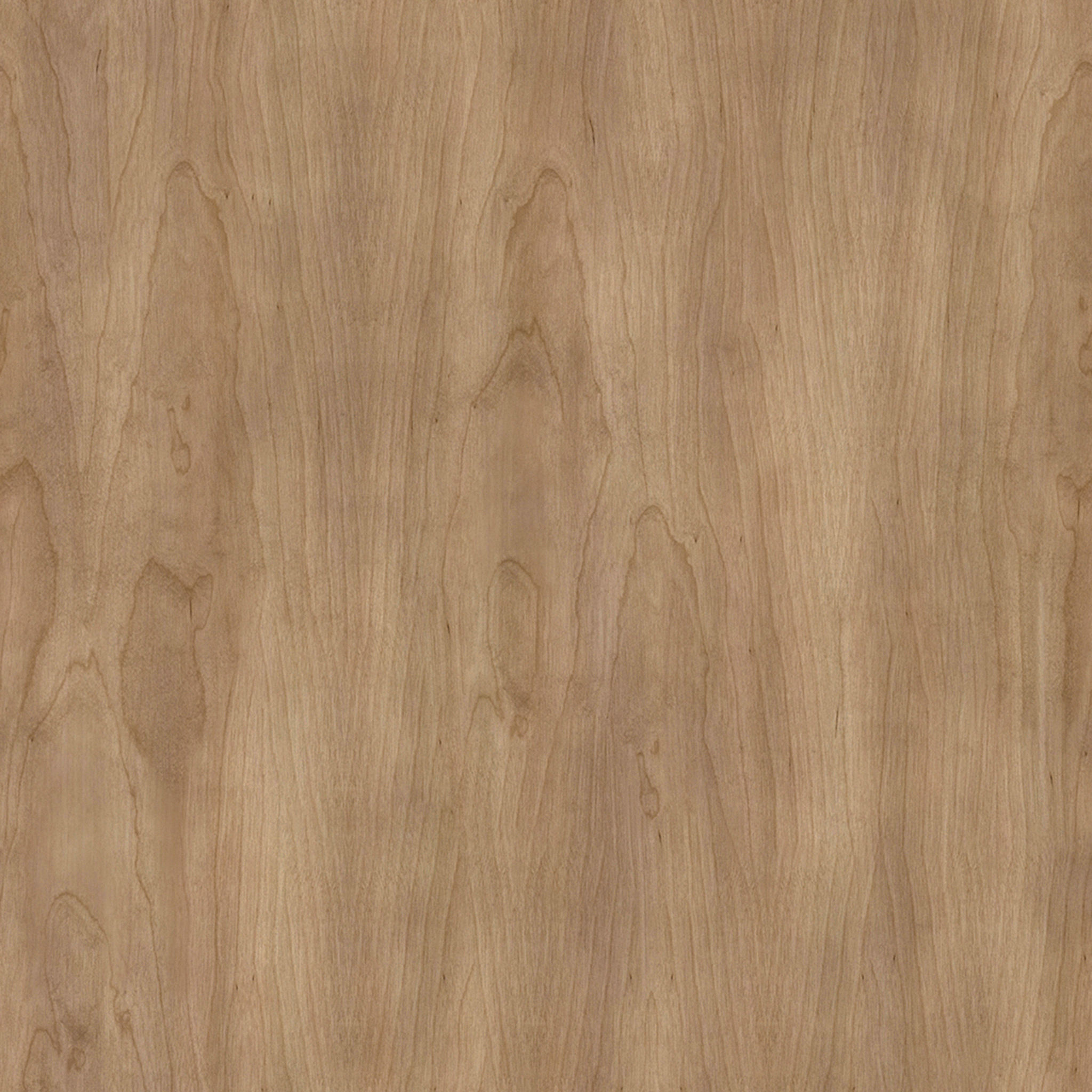 Seagrass Dining Chair thumbnail 5