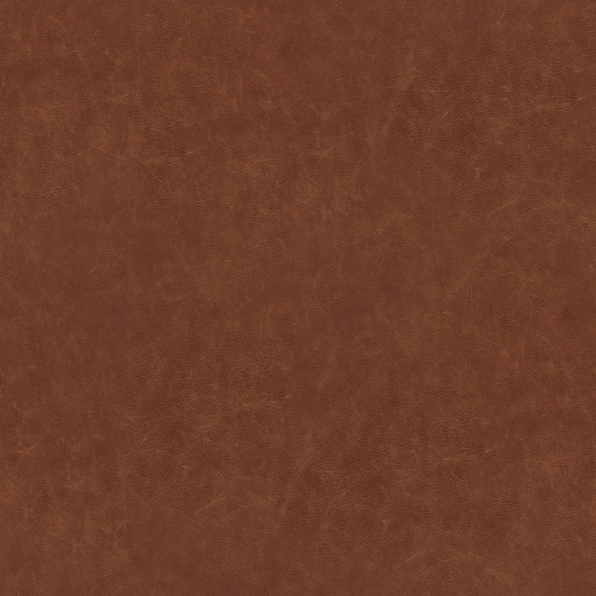 Auburn Leather High Back Chair thumbnail 2