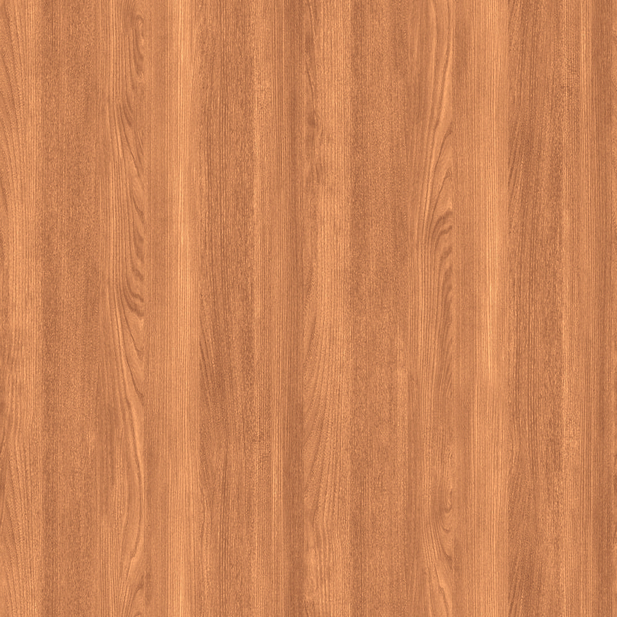 Auburn Leather High Back Chair thumbnail 3