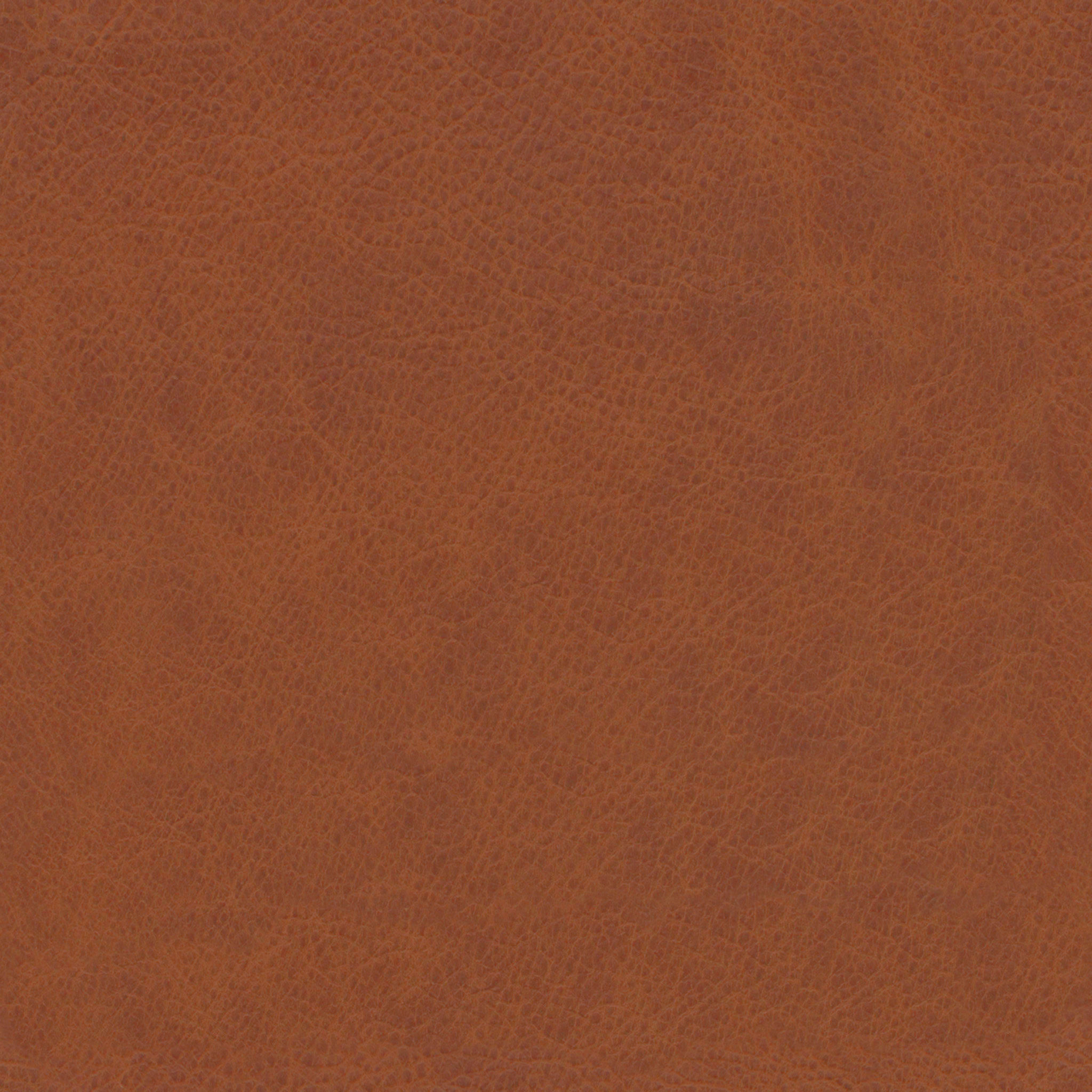 Mid Century Show Wood High Back Leather Chair thumbnail 2