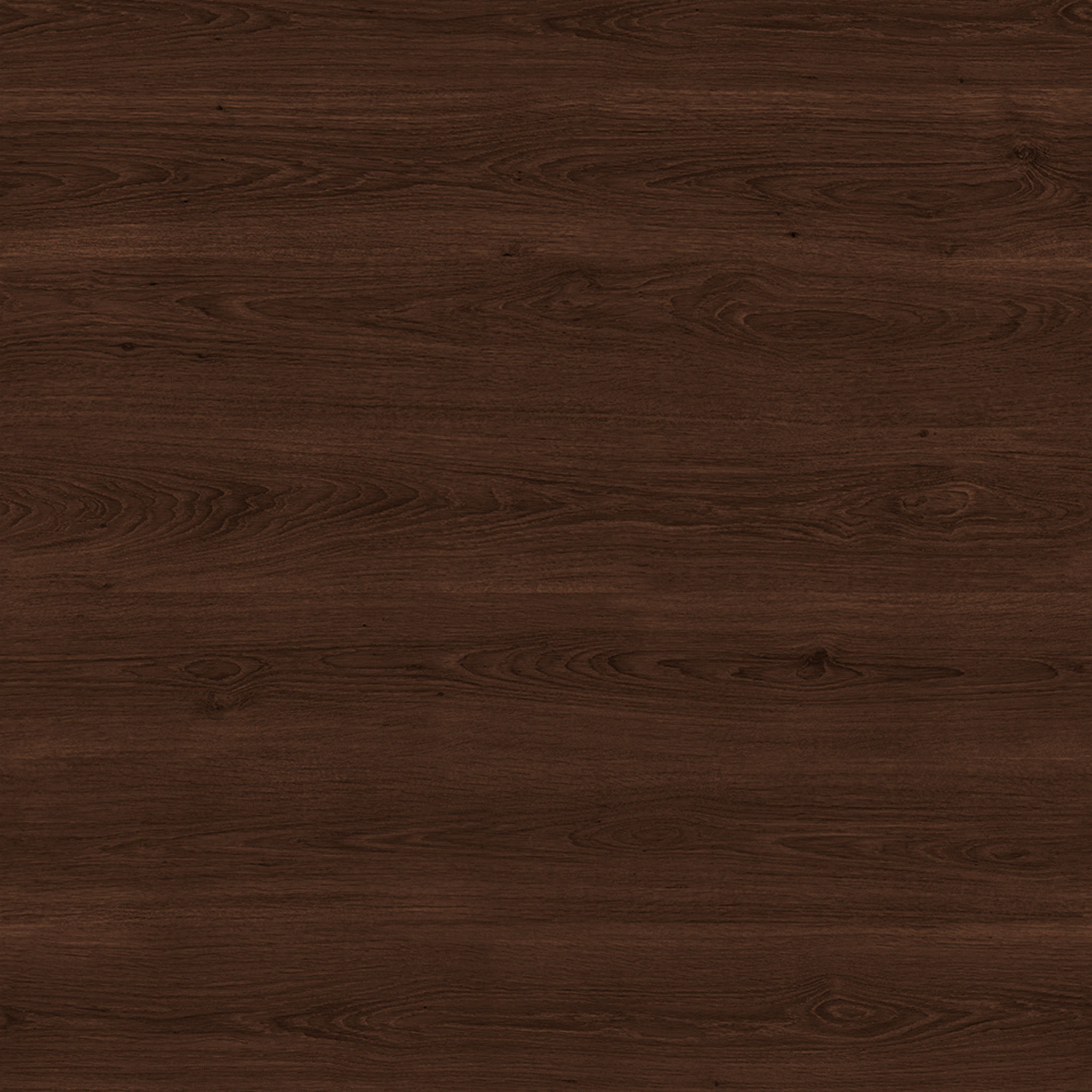 Mid Century Show Wood High Back Leather Chair thumbnail 3