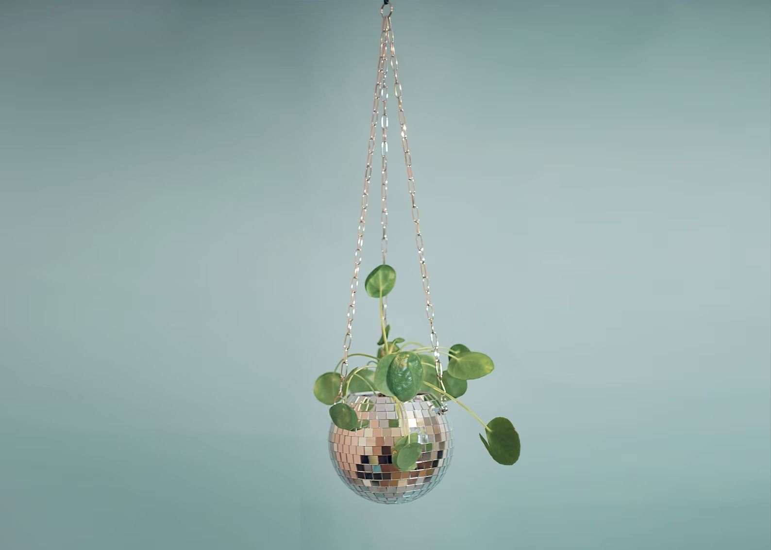 Dado Disco Ball Plant Hanger thumbnail 2