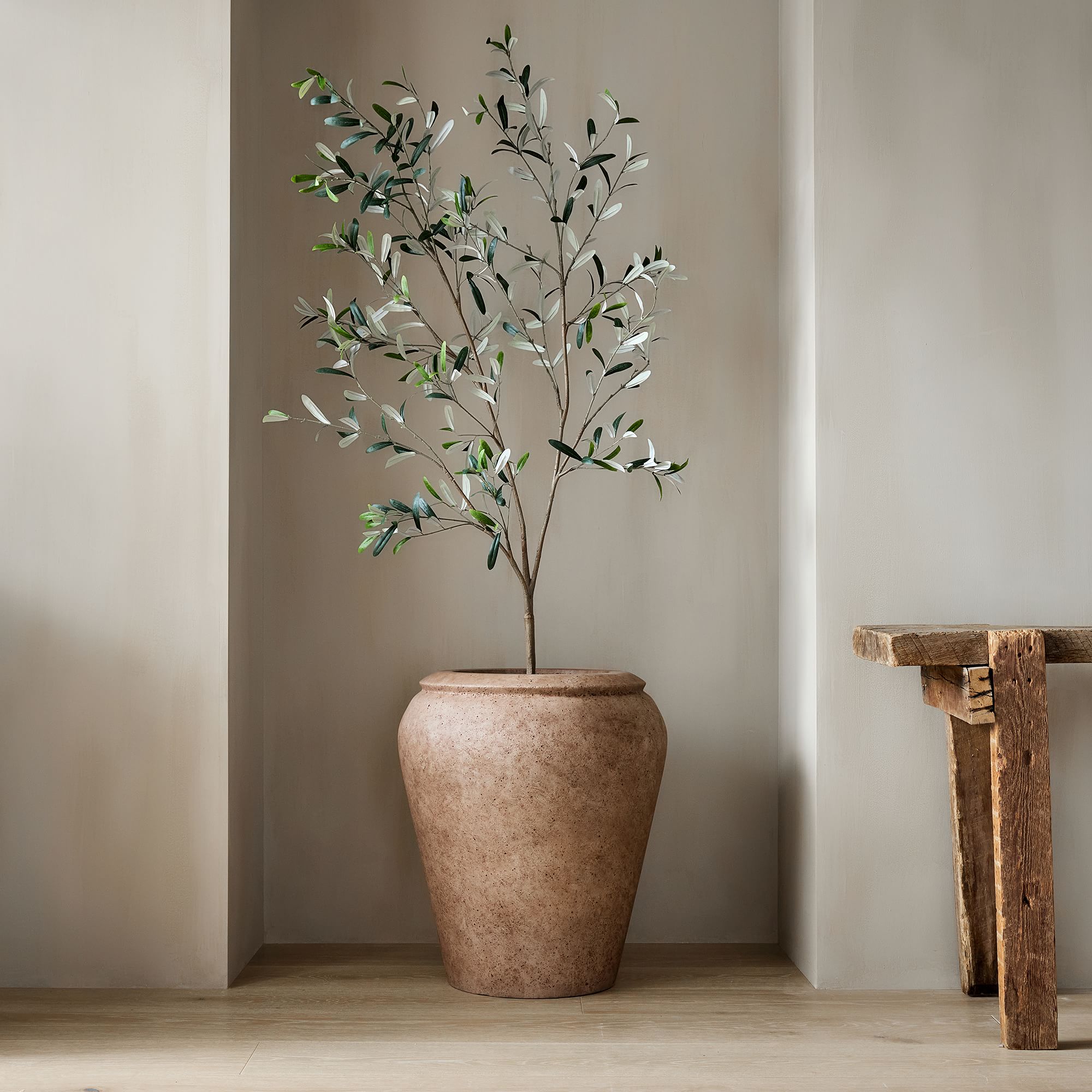Faux Potted Black Olive Tree thumbnail 2