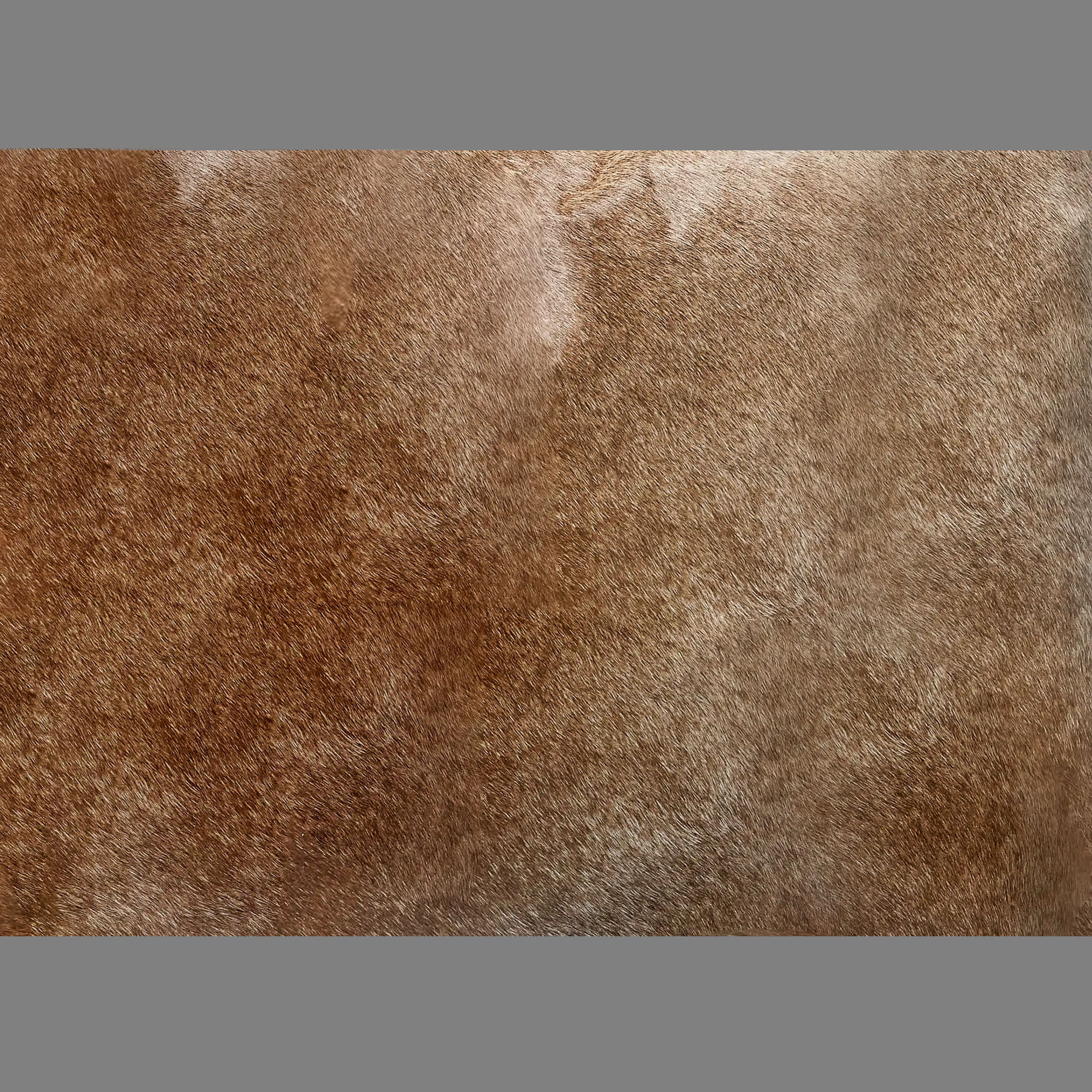 Whipstitch Hide Pillow Cover thumbnail 3