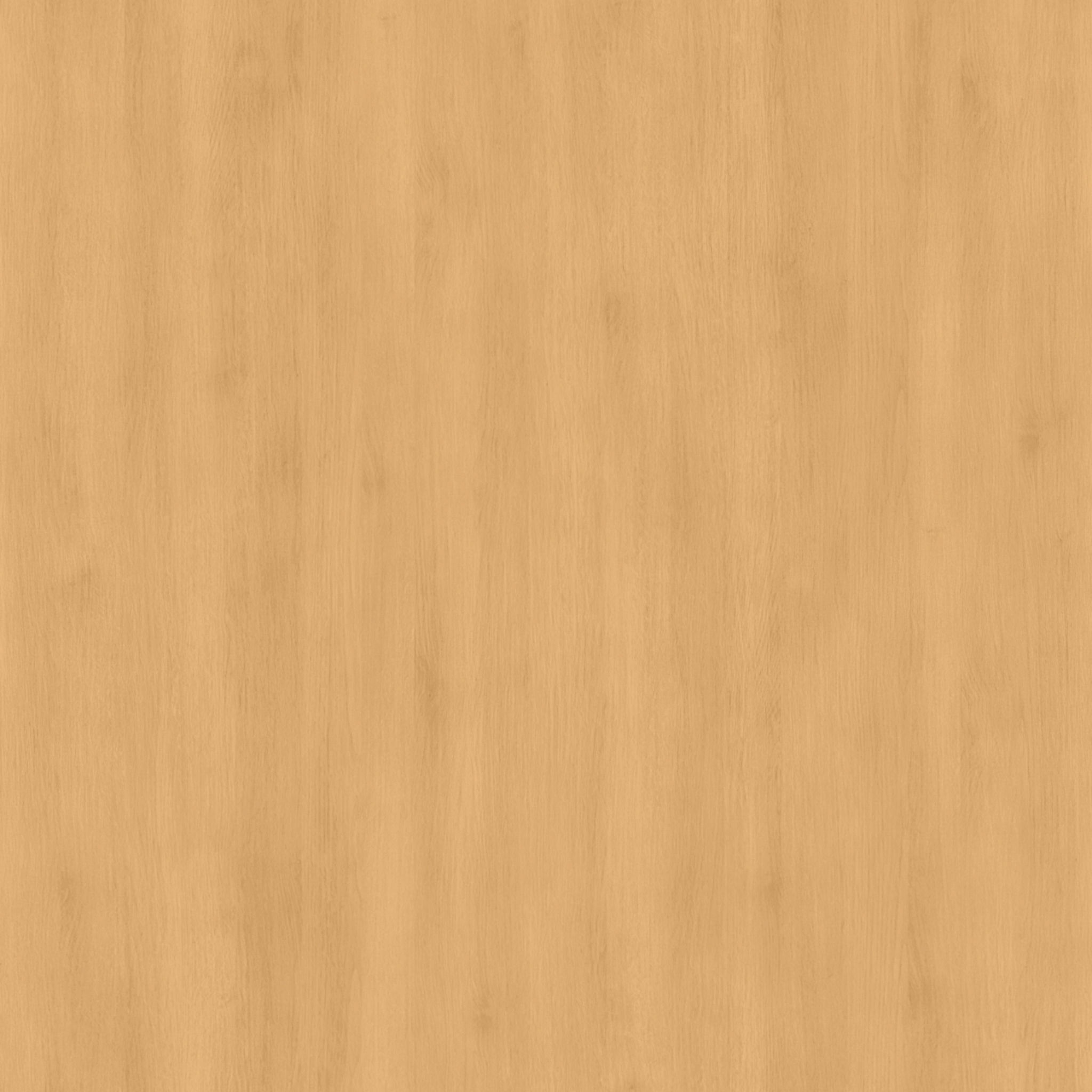 Neem Swedish Wall Ladder and Climber thumbnail 5