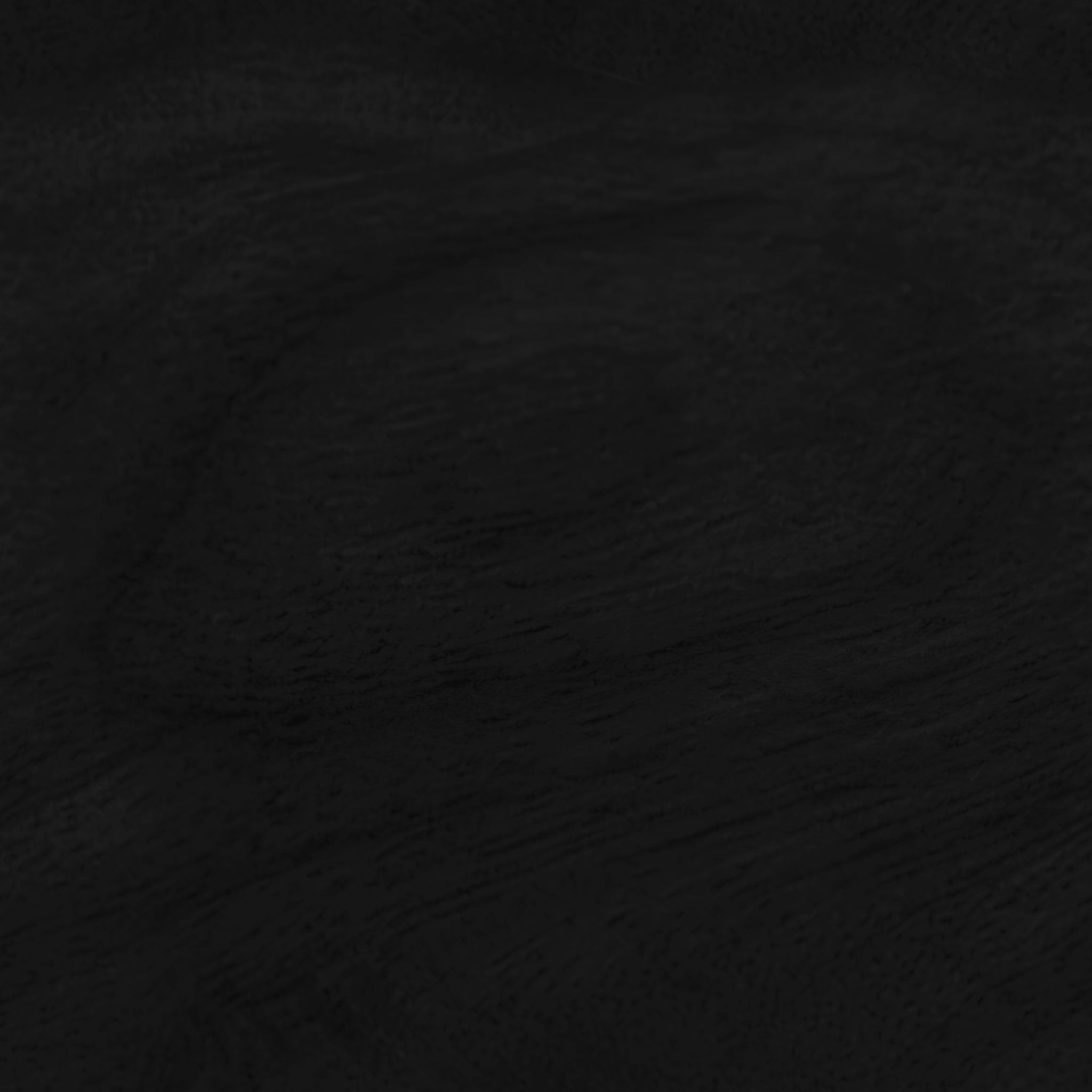 Extra Large Black Wood Kiwi Bird thumbnail 6
