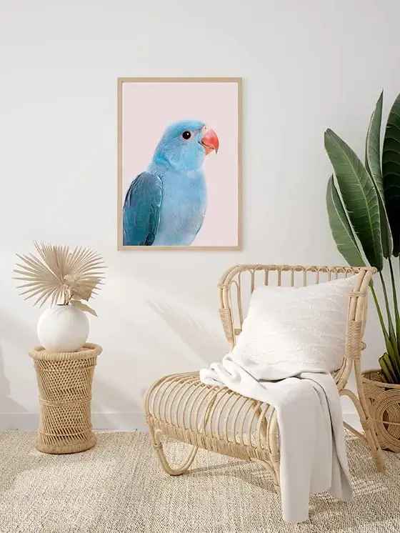Blue Parrot Framed Print-24"x36" thumbnail 3