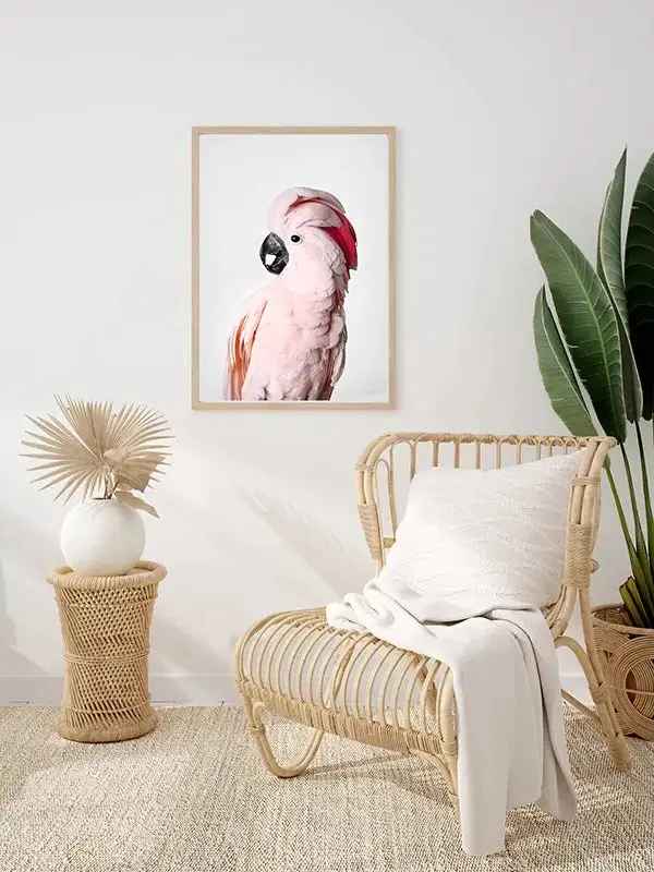 Pink Cockatoo Framed Print-8"x10" thumbnail 2