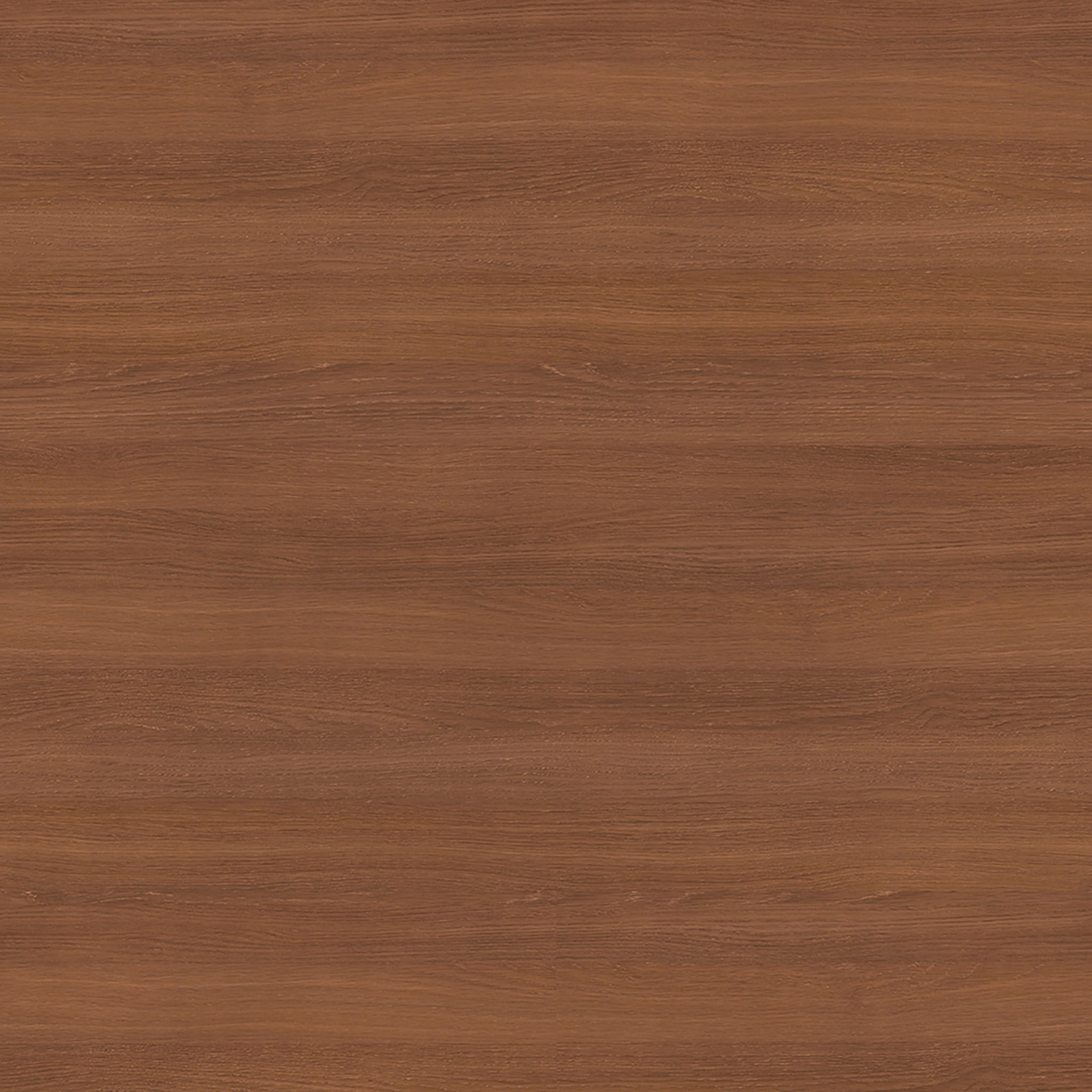 Tate Walnut Wood Hall Tree with Bench and Shoe Storage thumbnail 7