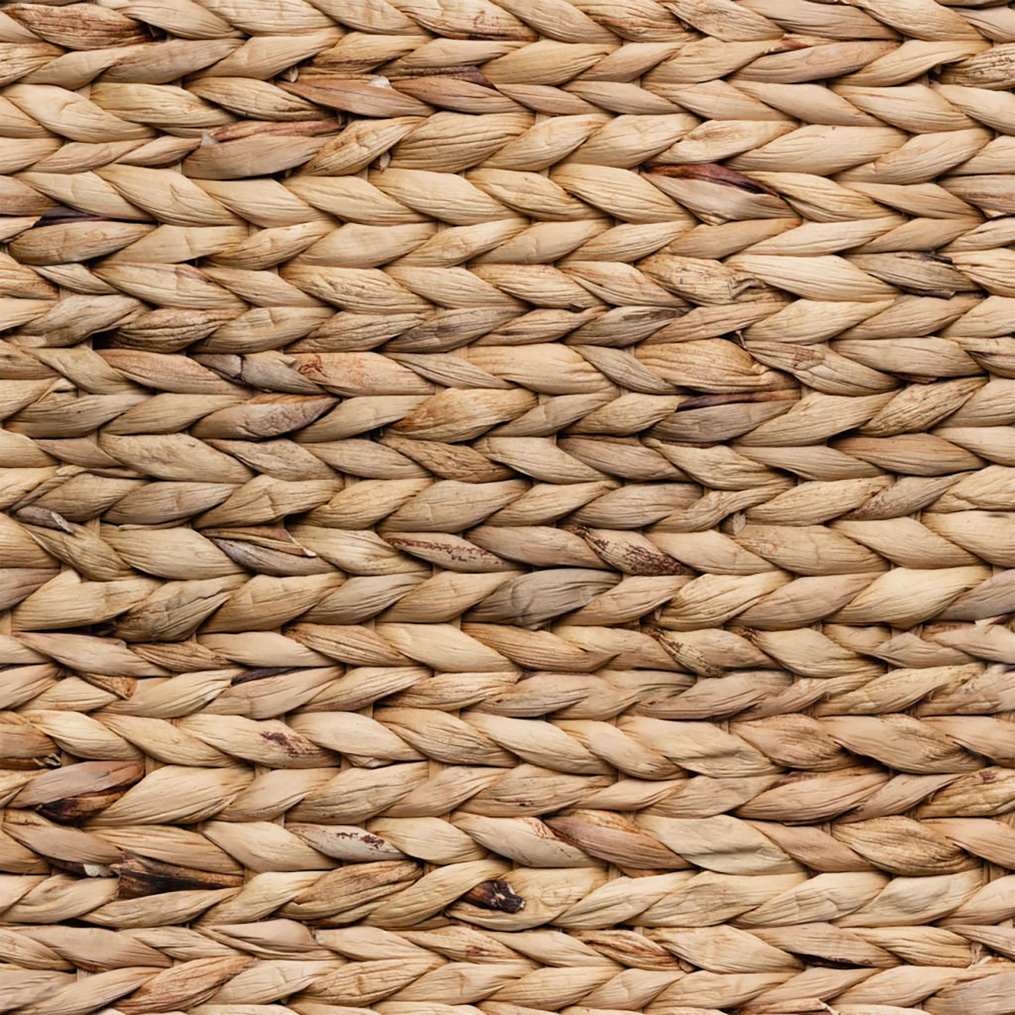 Cattail and Paper Terra Basket Two Tone Wicker Basket with Handles thumbnail 5