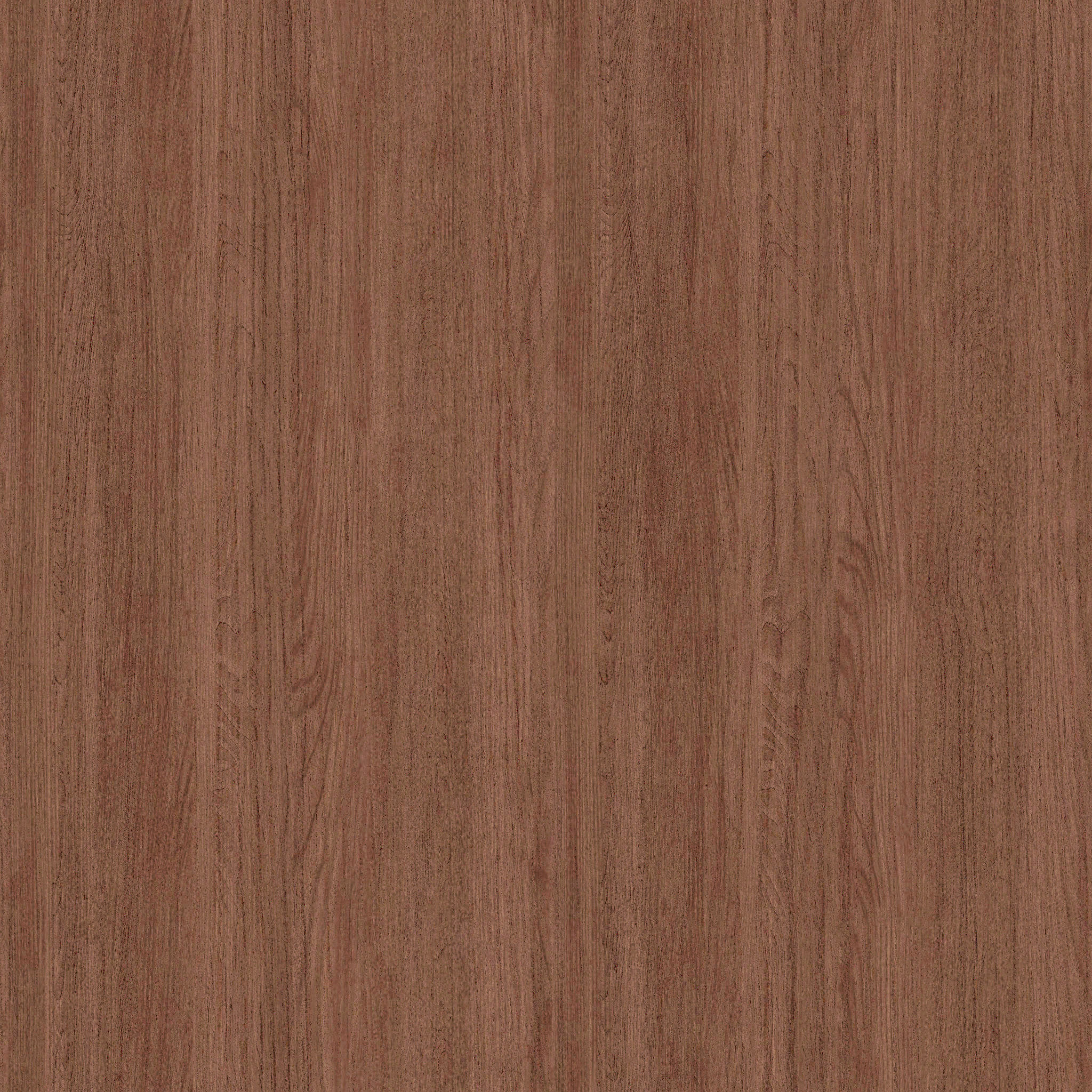 Concord 63" Curved Credenza thumbnail 11