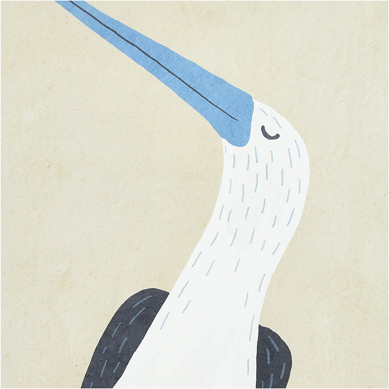 Blue Footed Bird Framed Wall Art Print-23.5"x23.5" thumbnail 3