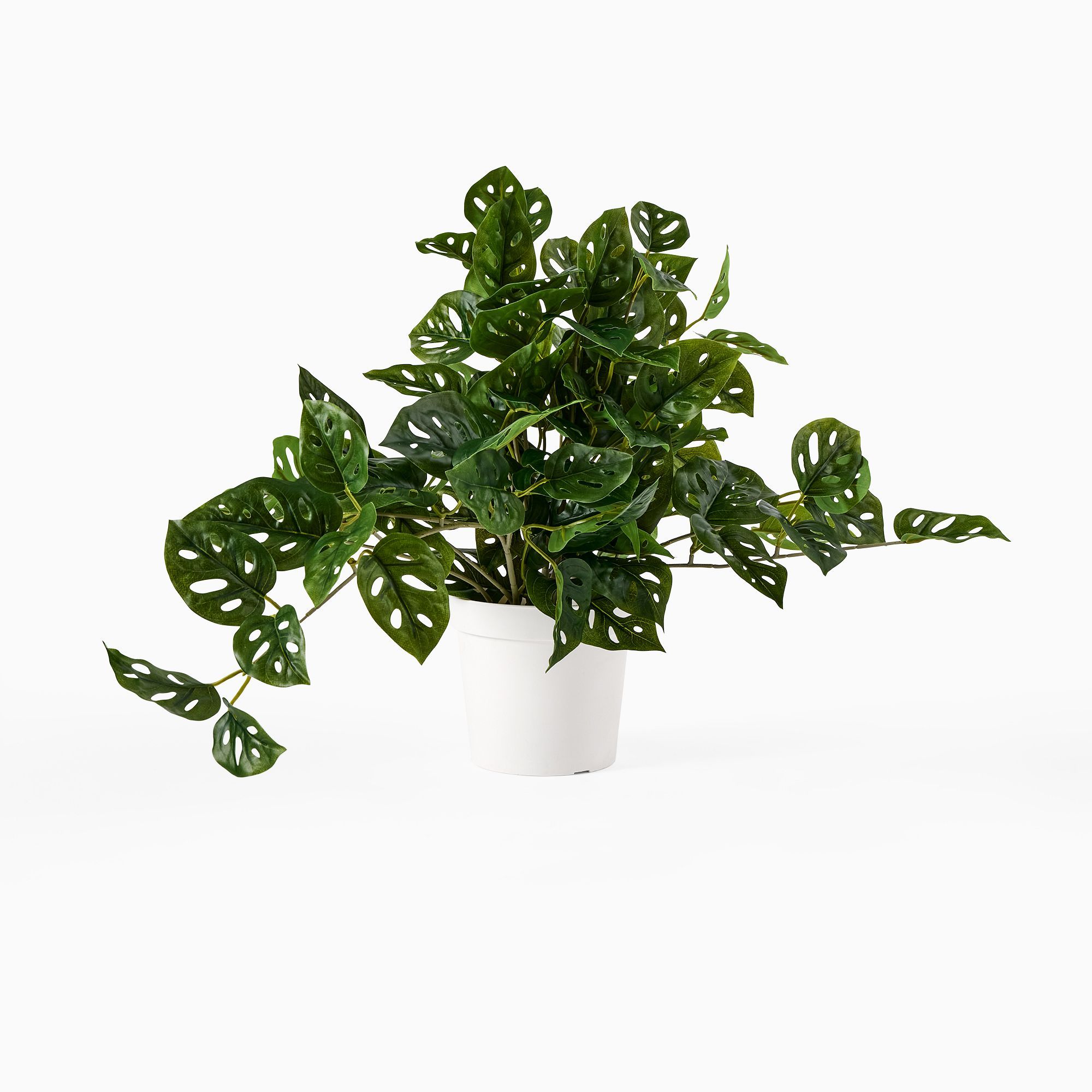 Faux Potted Trailing Monstera Plant thumbnail 3