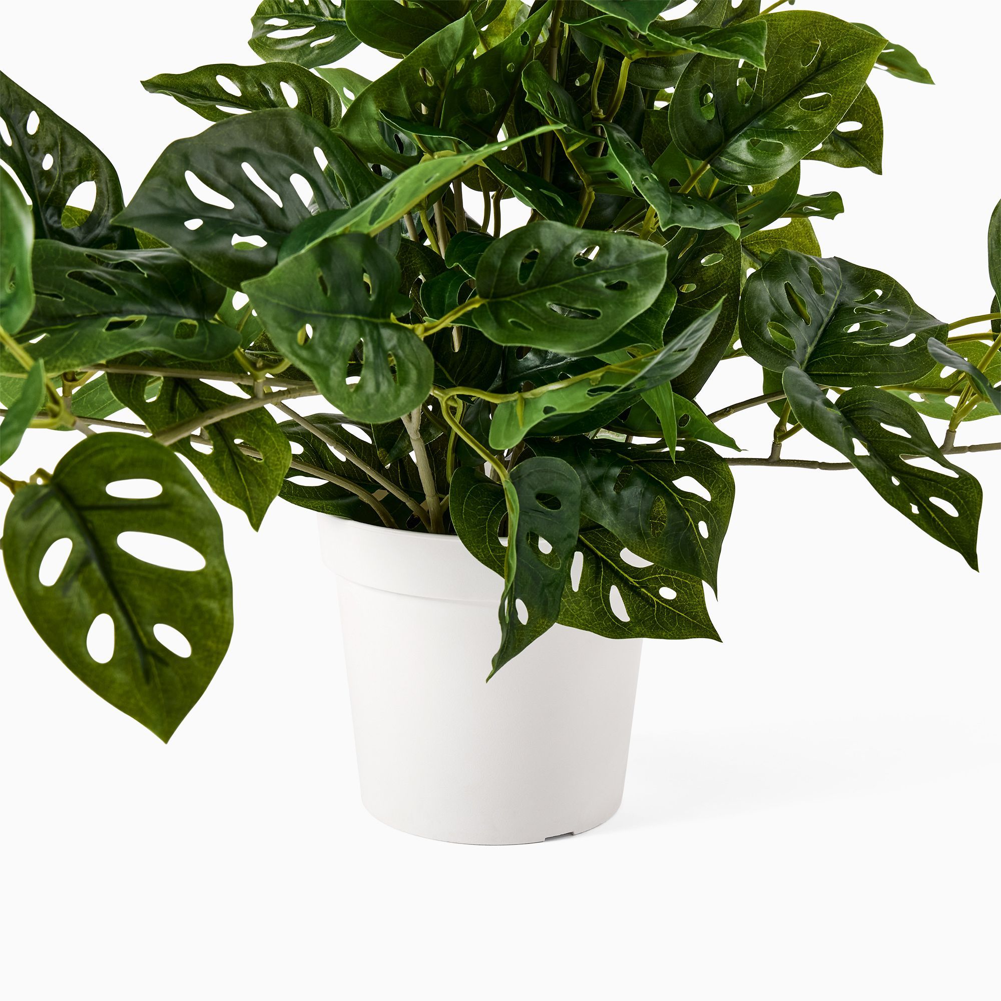 Faux Potted Trailing Monstera Plant thumbnail 4
