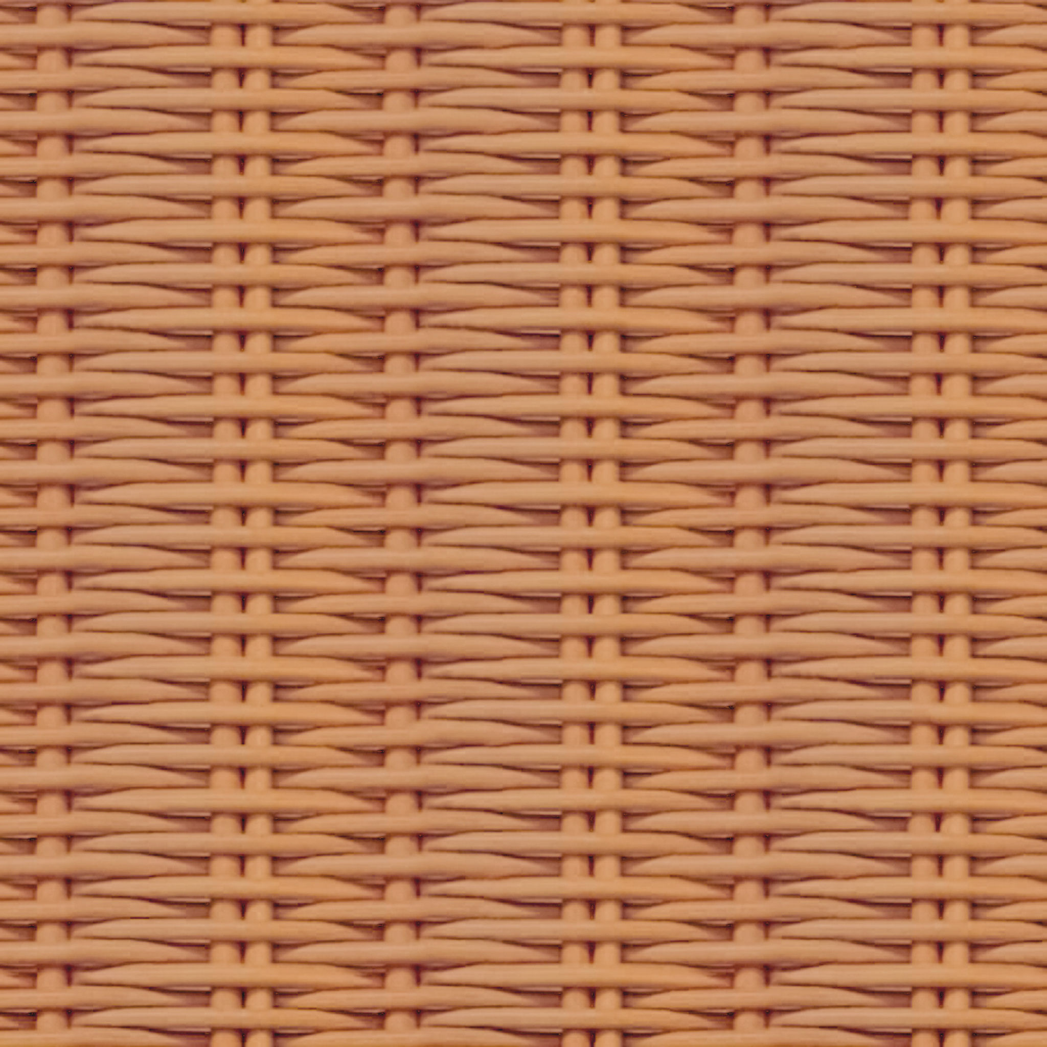Snail Shelf thumbnail 4