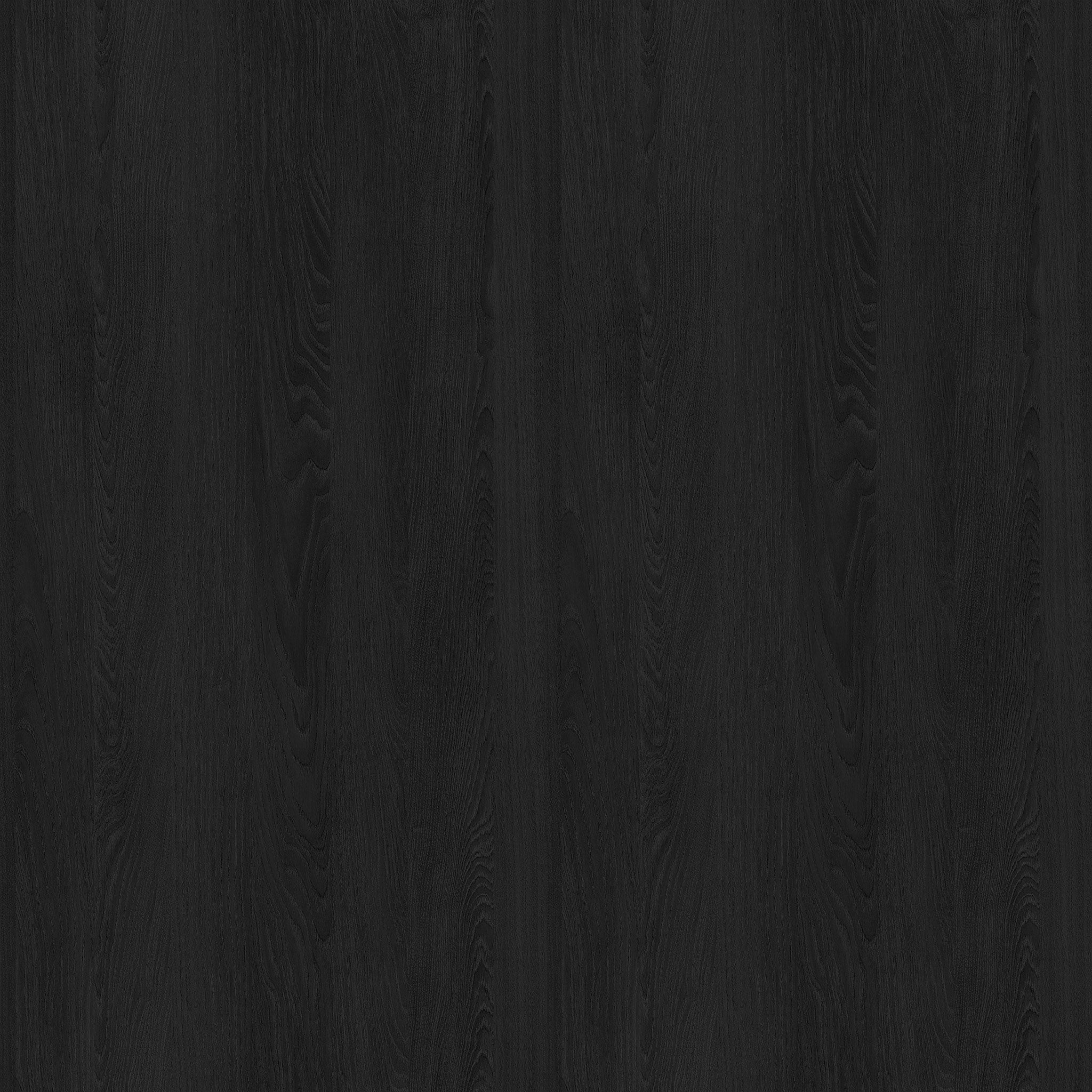 Magnolia Home Stella Curio By Joanna Gaines thumbnail 5