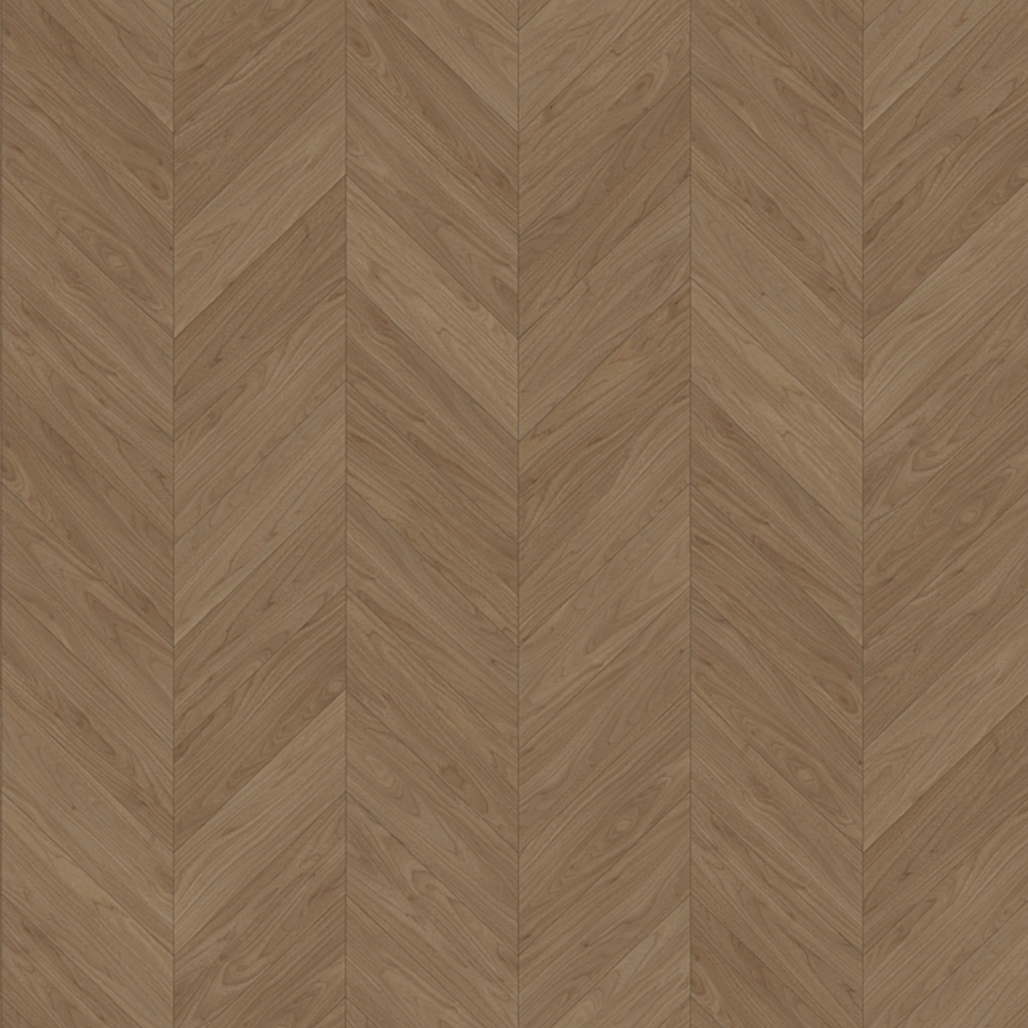 Magnolia Home Stella Curio By Joanna Gaines thumbnail 6