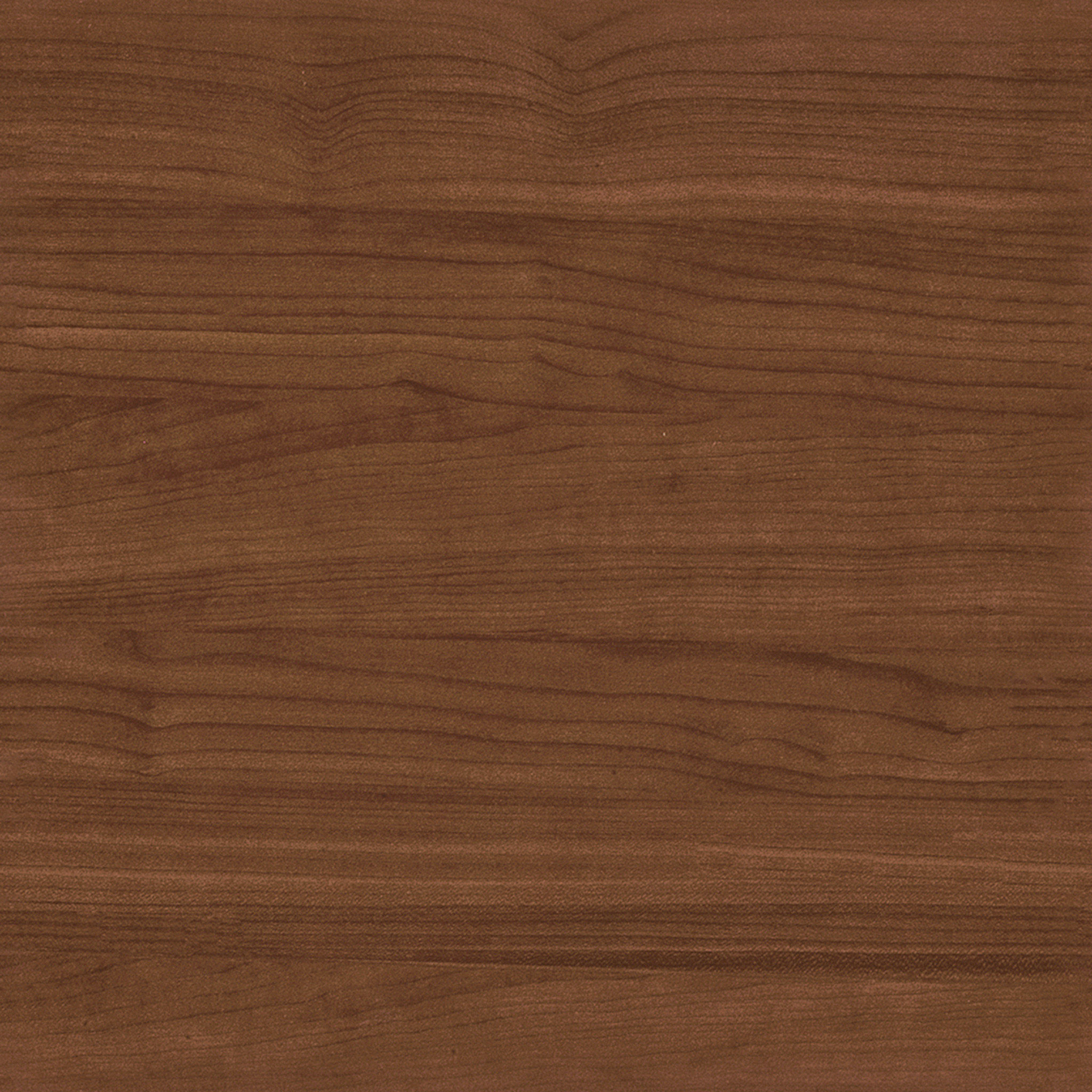 Matthew Robinson Customer Shoe Cabinet thumbnail 3