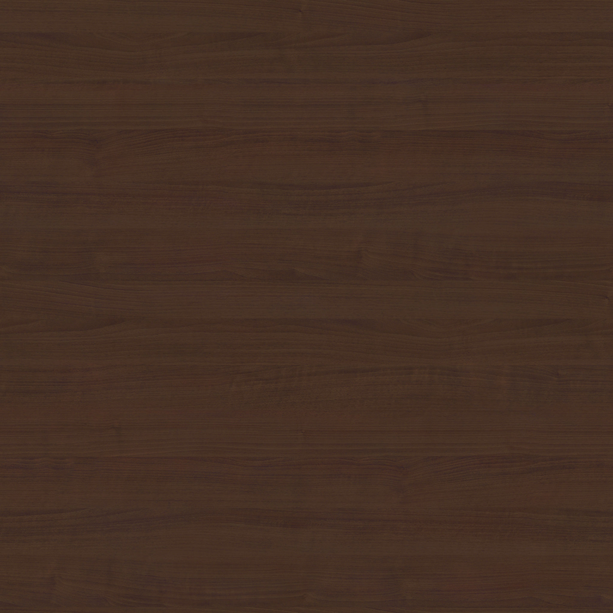 Lenia Walnut Cabinet thumbnail 5
