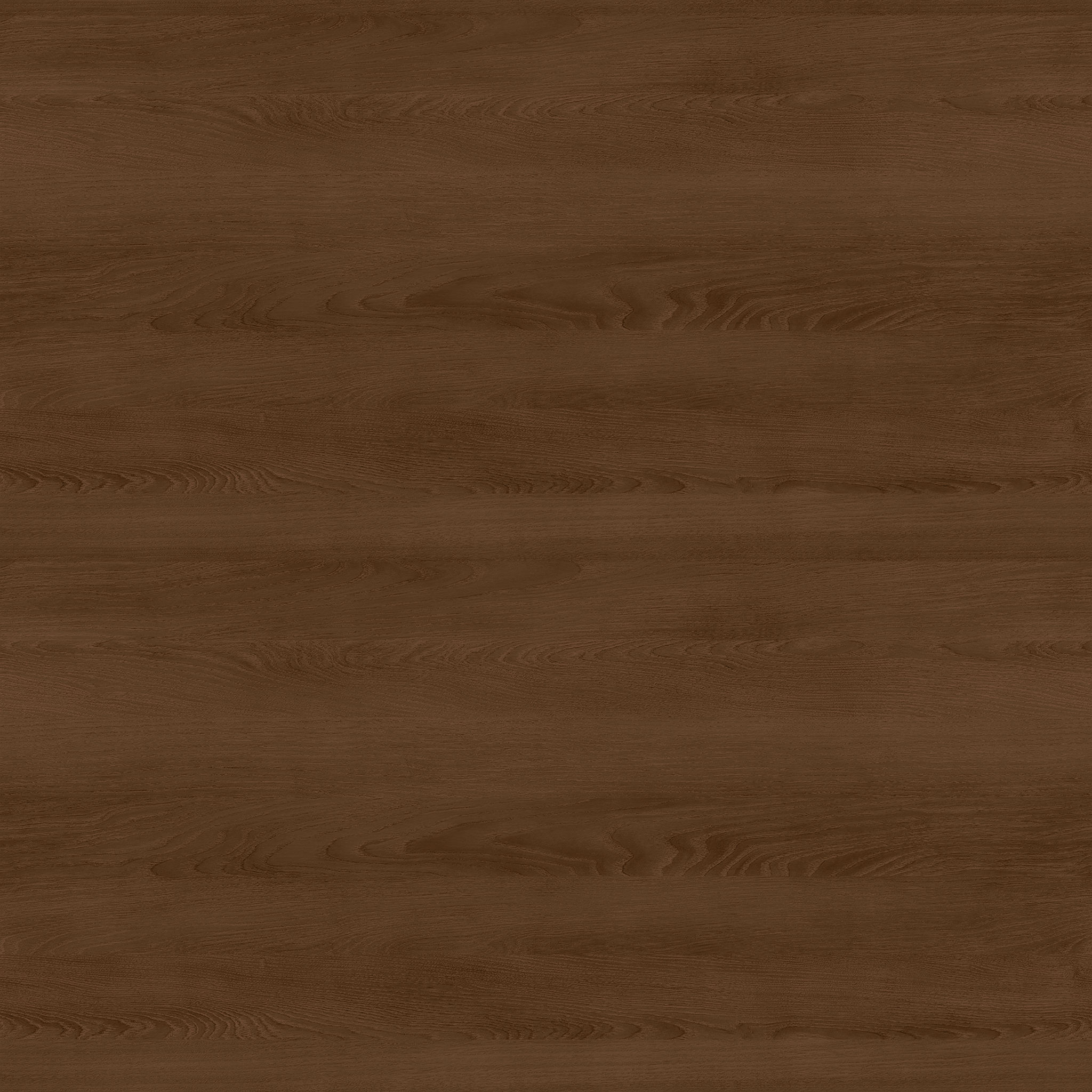 Customer Dining Chair thumbnail 2