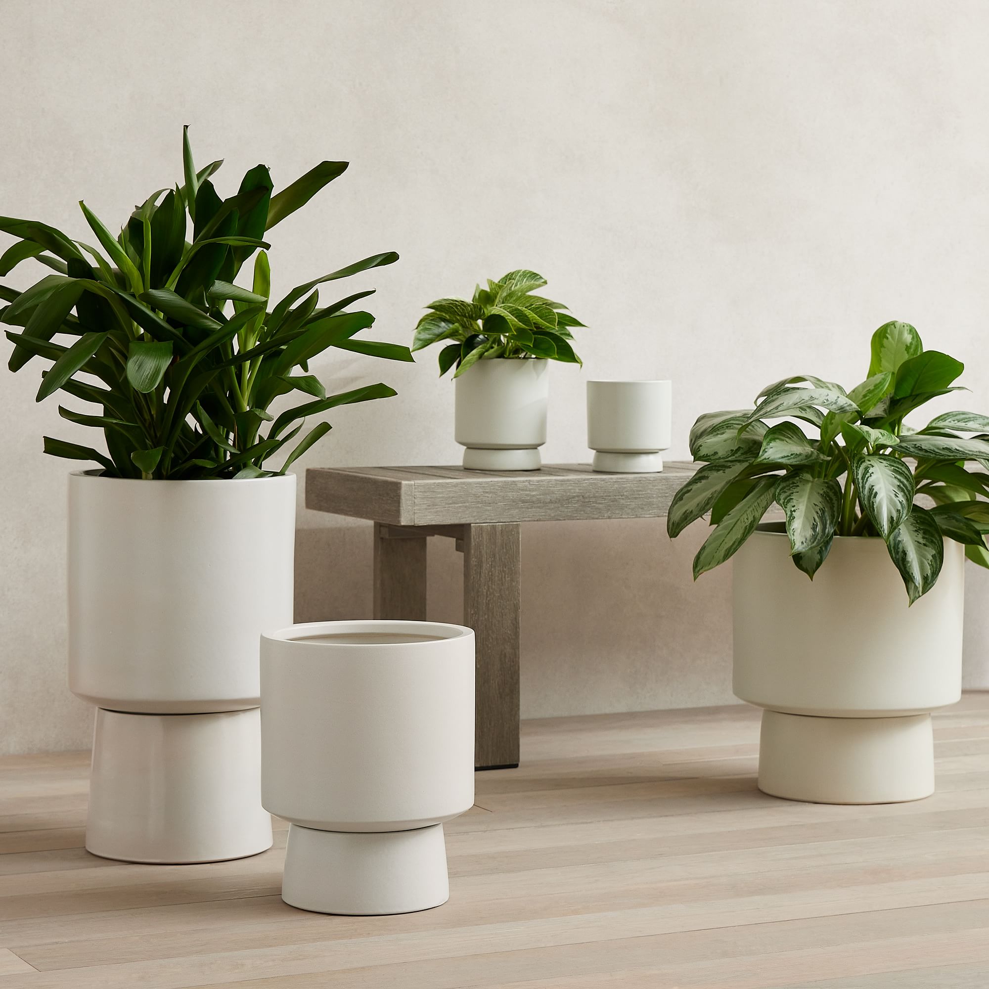 Bishop Ceramic Pedestal Medium Floor Planter thumbnail 2