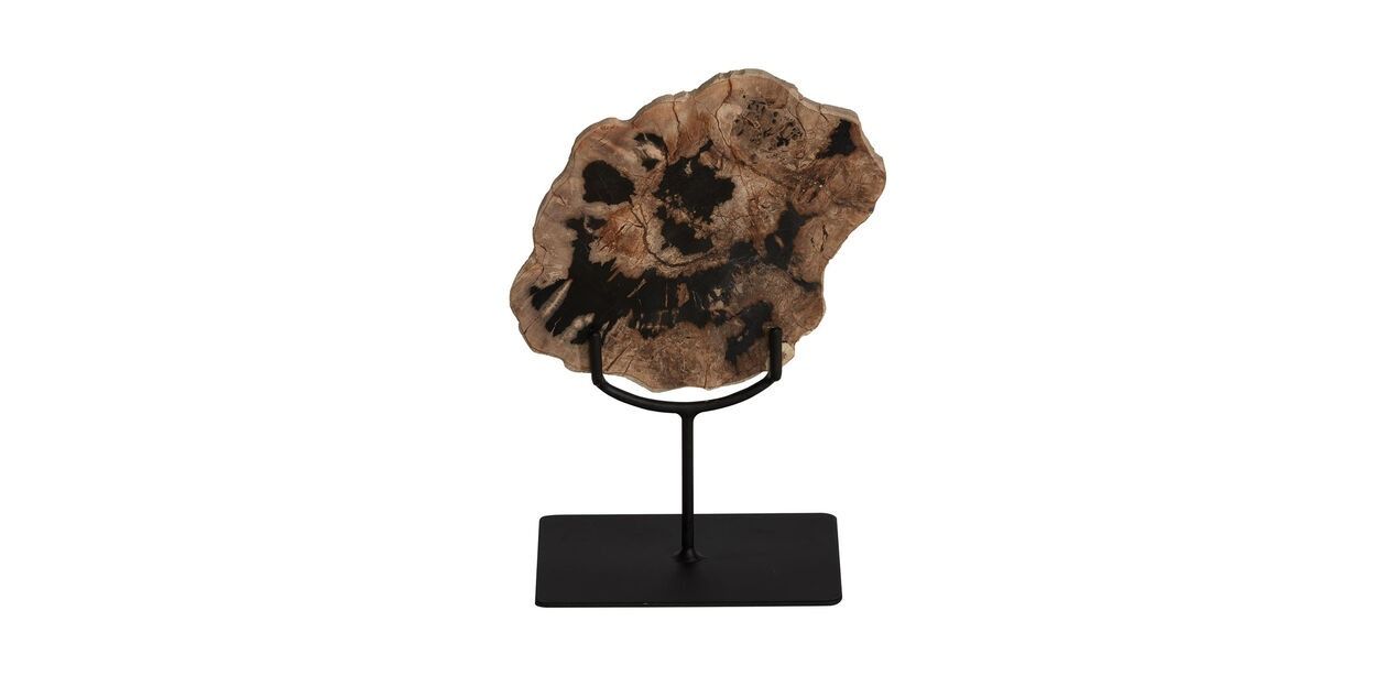Petrified Wood On Stand Small thumbnail 2
