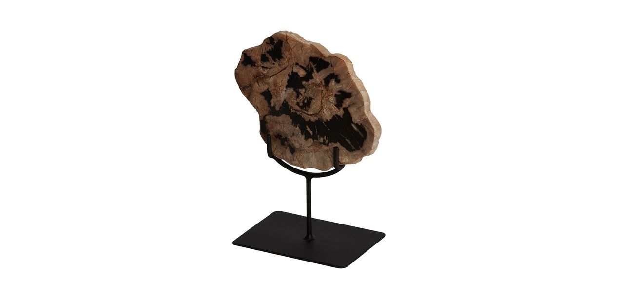 Petrified Wood On Stand Small thumbnail 3