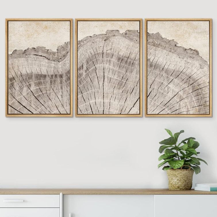 Tree Ring Rustic Oak Wood Farmhouse Decor Neutral Modern Organic Framed Canvas 3 Piece Print Art thumbnail 7