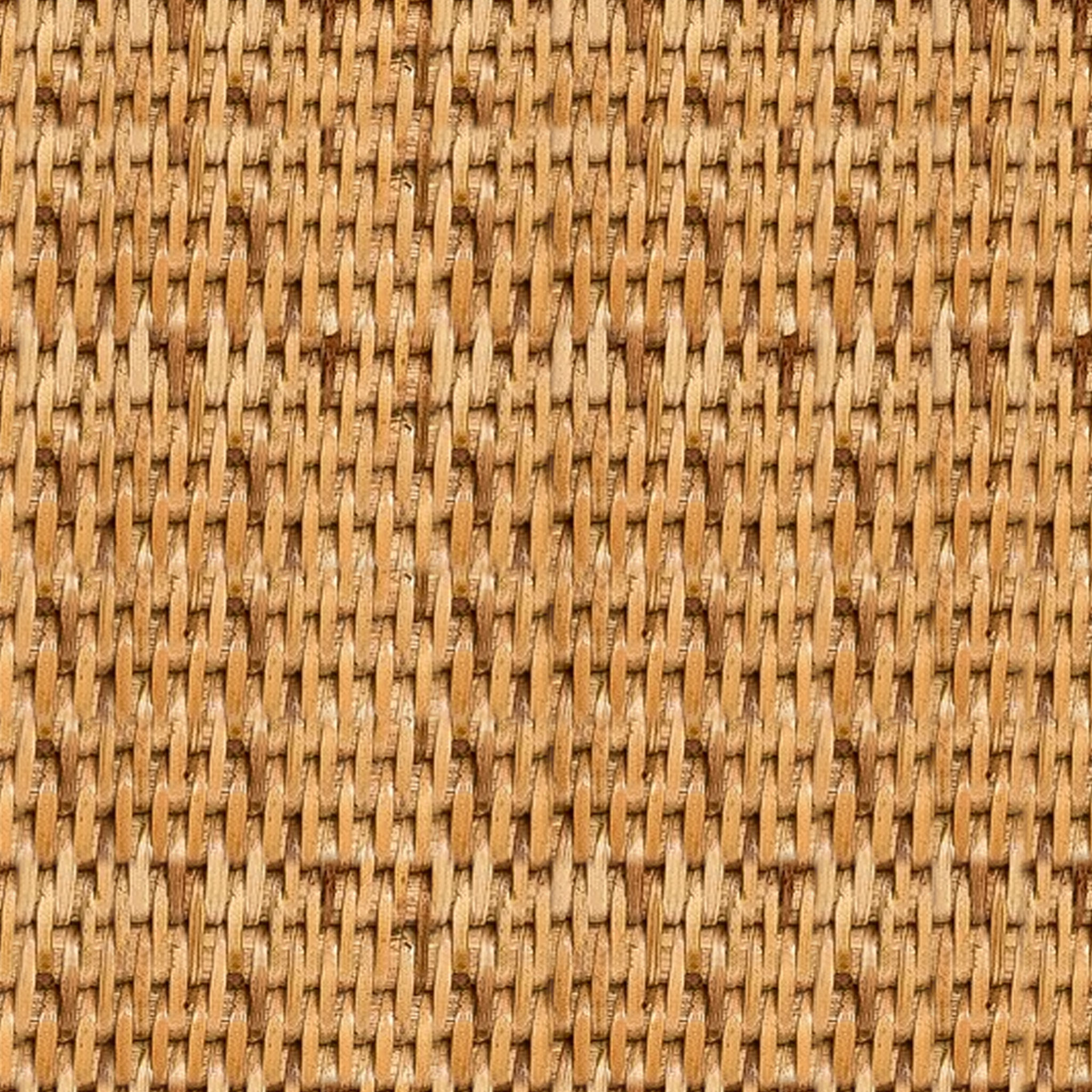 Birch Lane Thelma General Basket thumbnail 4