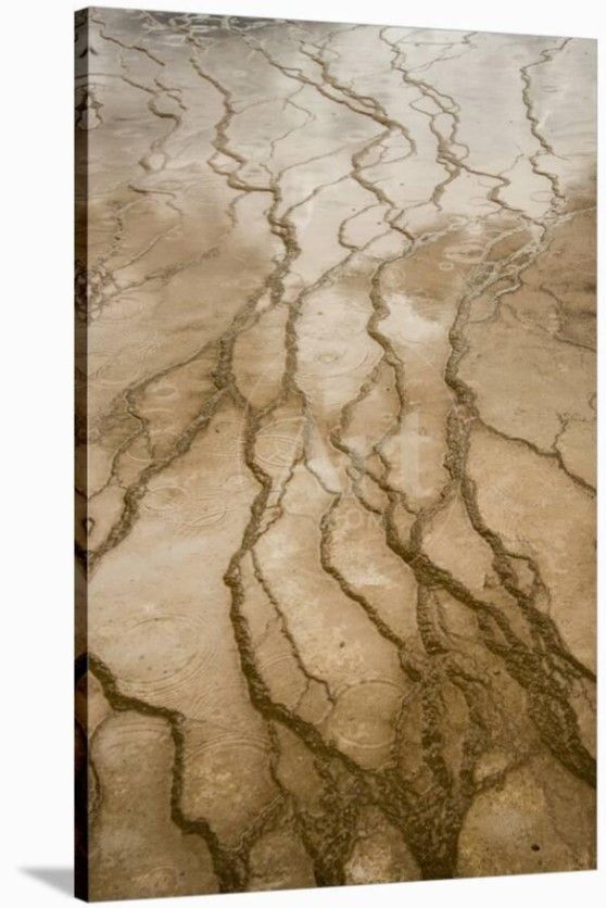 Raindrops On The Terraces Of The Grand Prismatic Spring Midway Geyser Basin thumbnail 3
