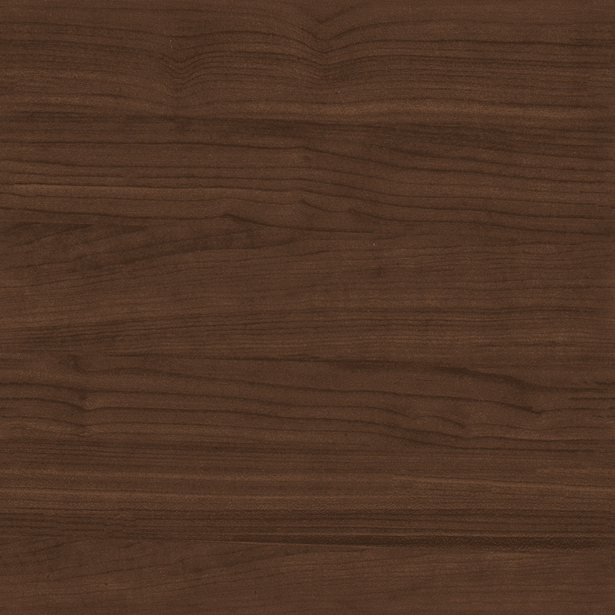 Kayra Lunaria Sandstone Bouclé King Bed thumbnail 6