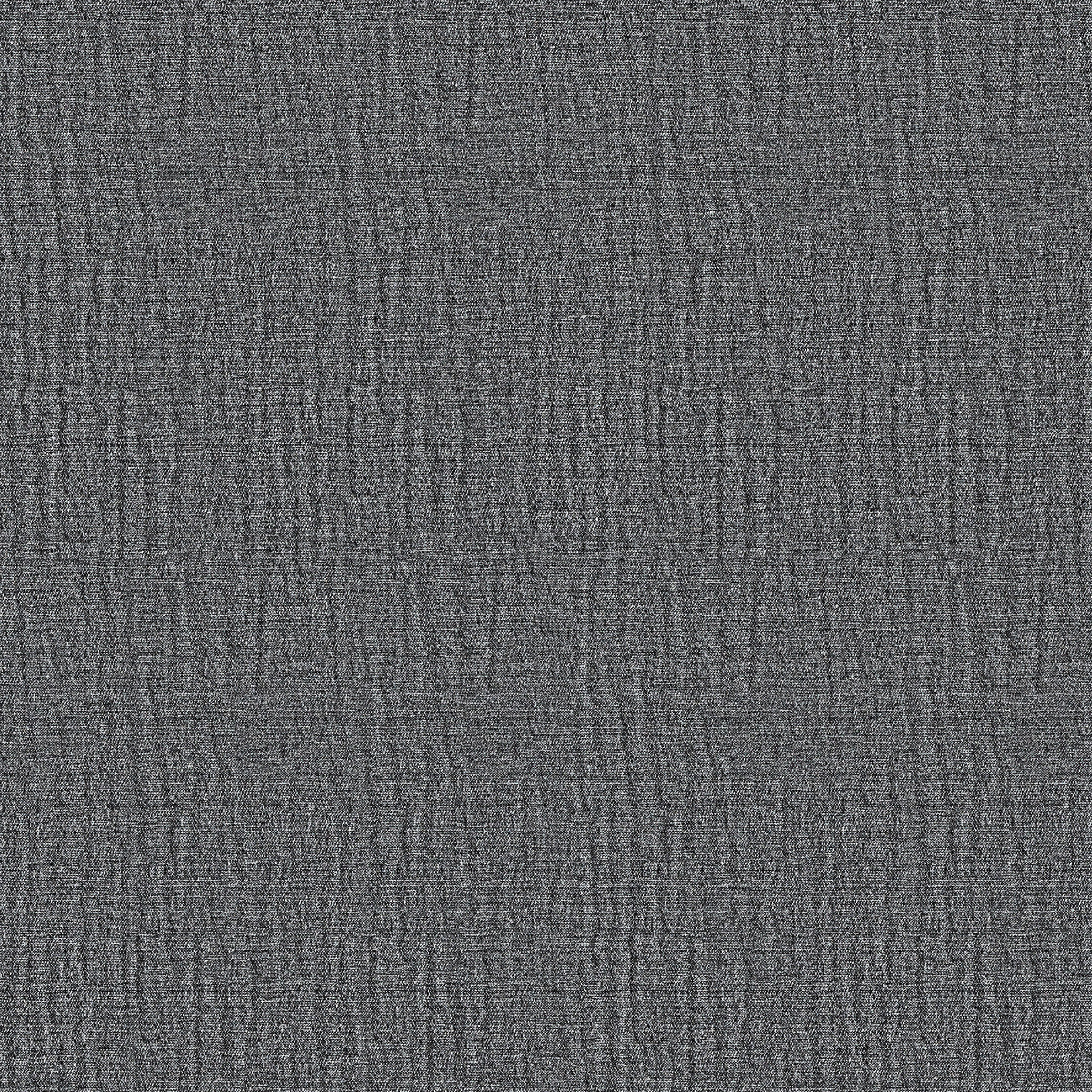 Leni Gauze Cotton Charcoal King Duvet Cover thumbnail 2