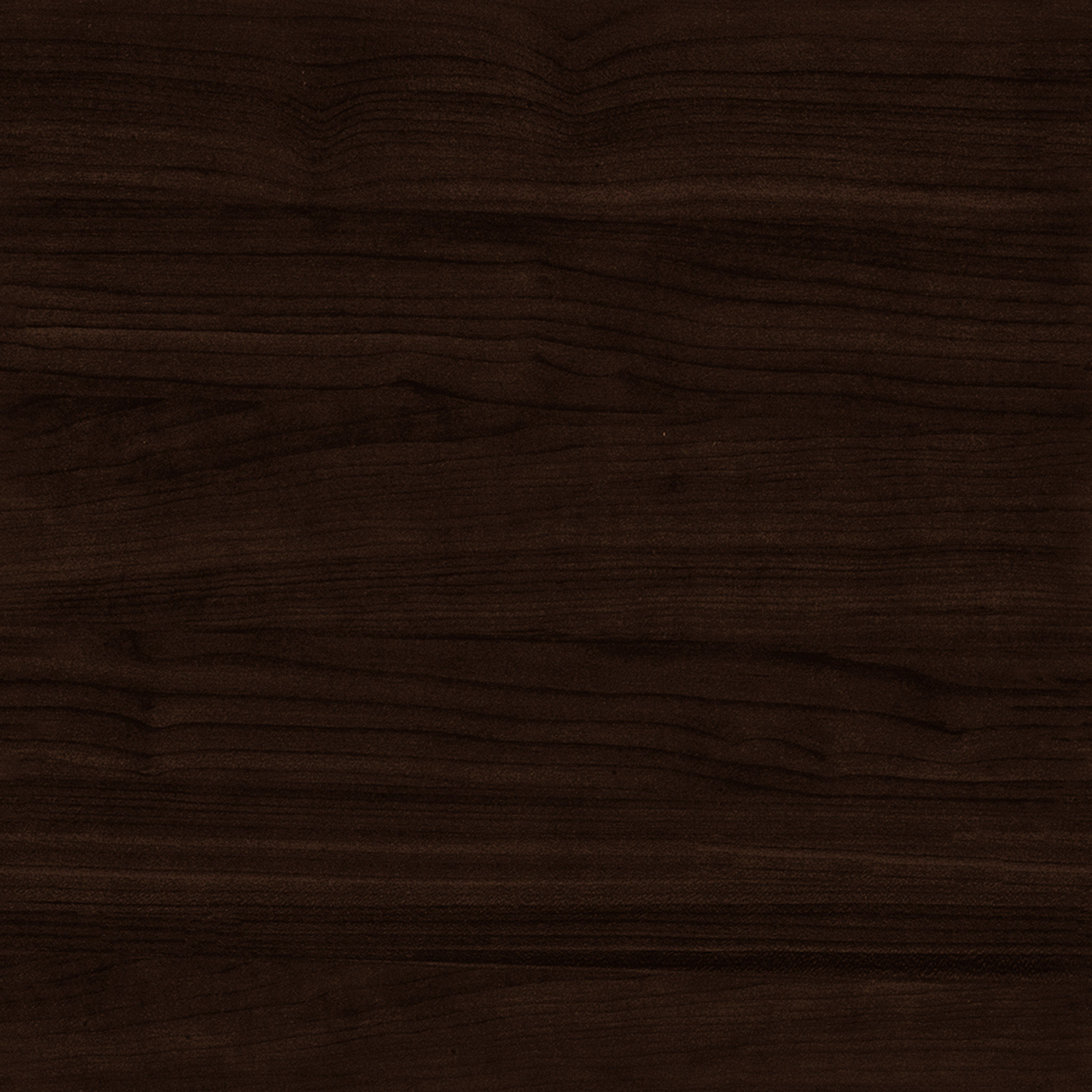 Mid Century Show Wood Chair thumbnail 3
